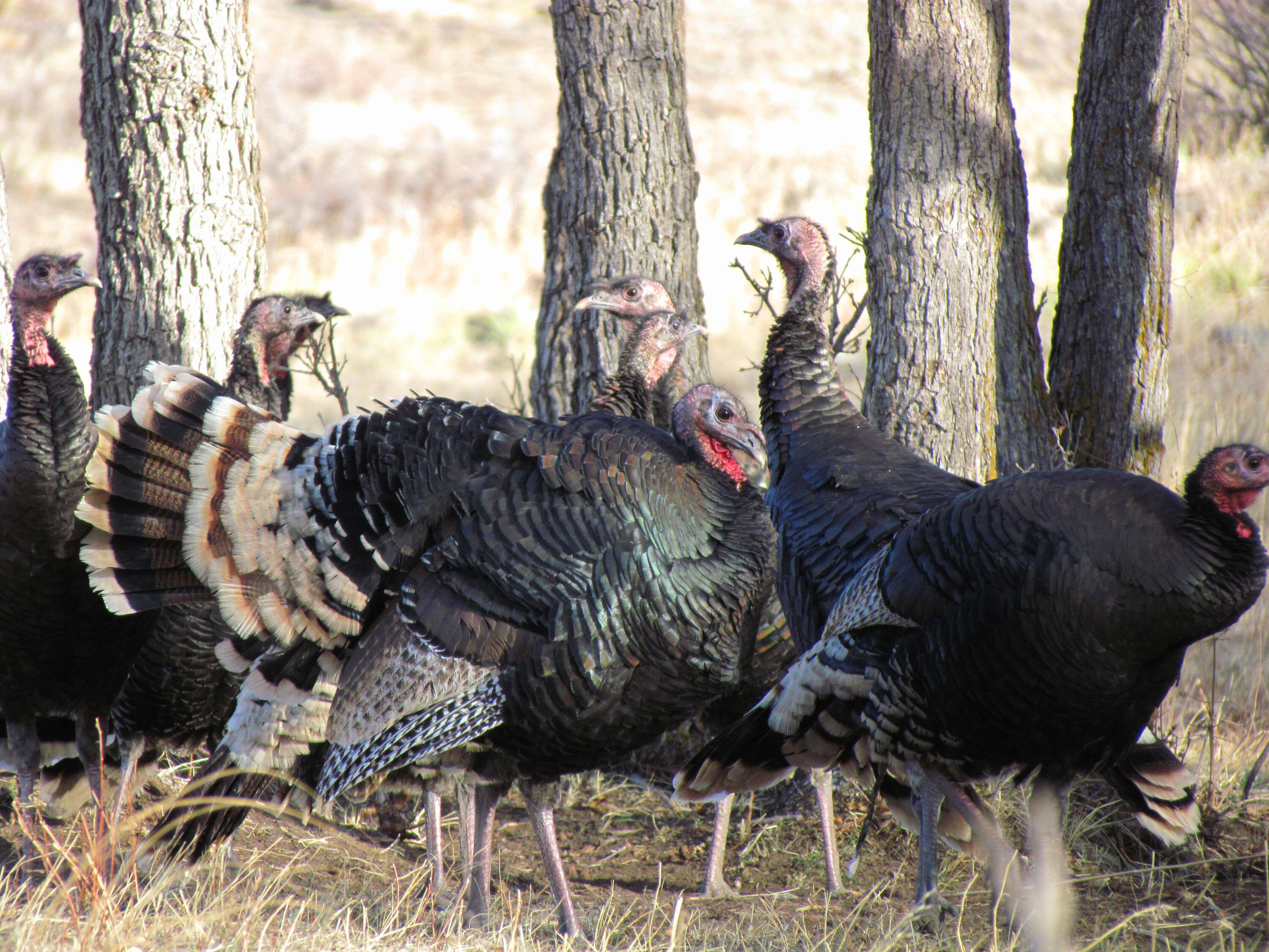 TBD County Road 23.3, CO