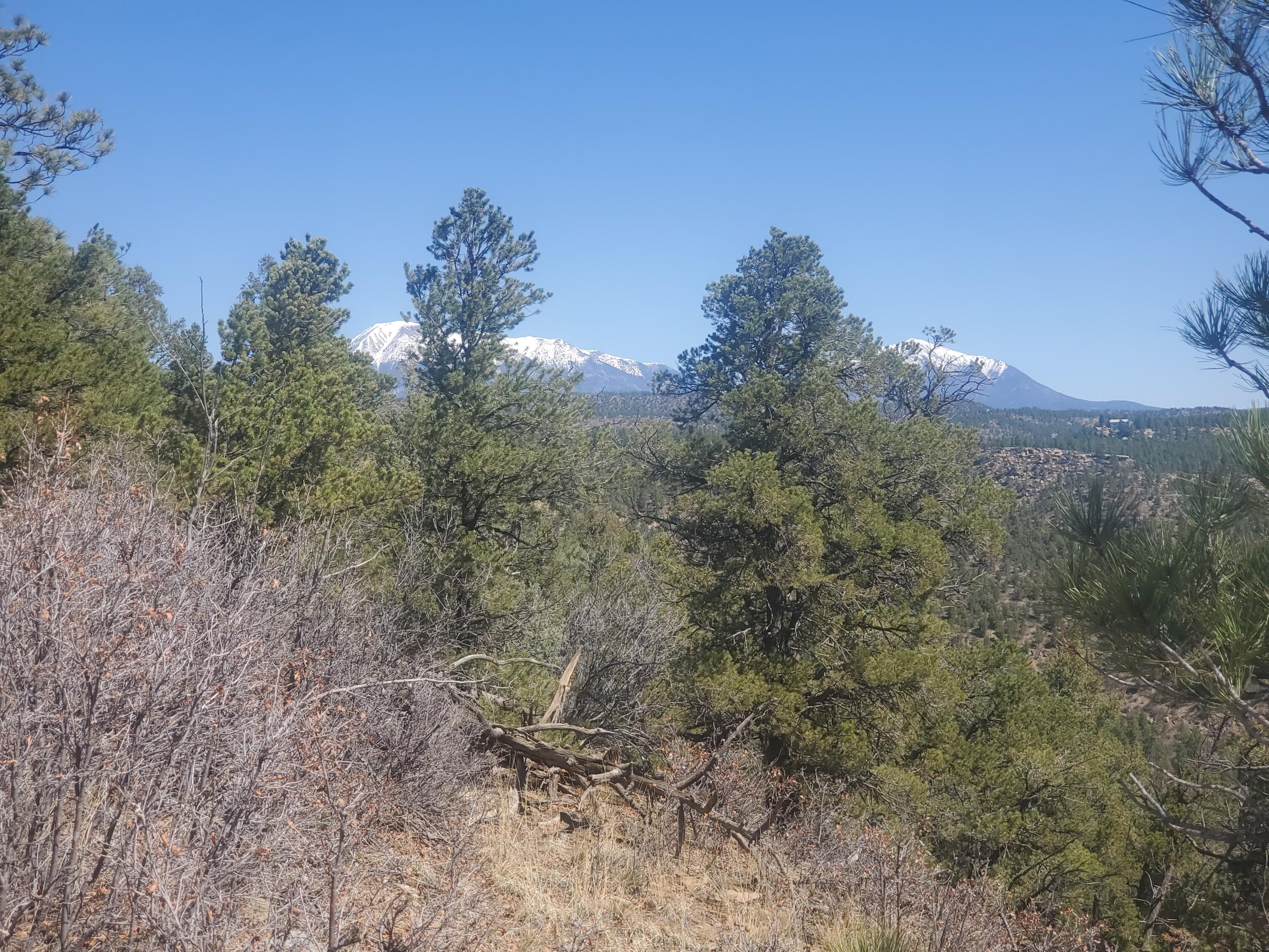 TBD County Road 23.3, CO