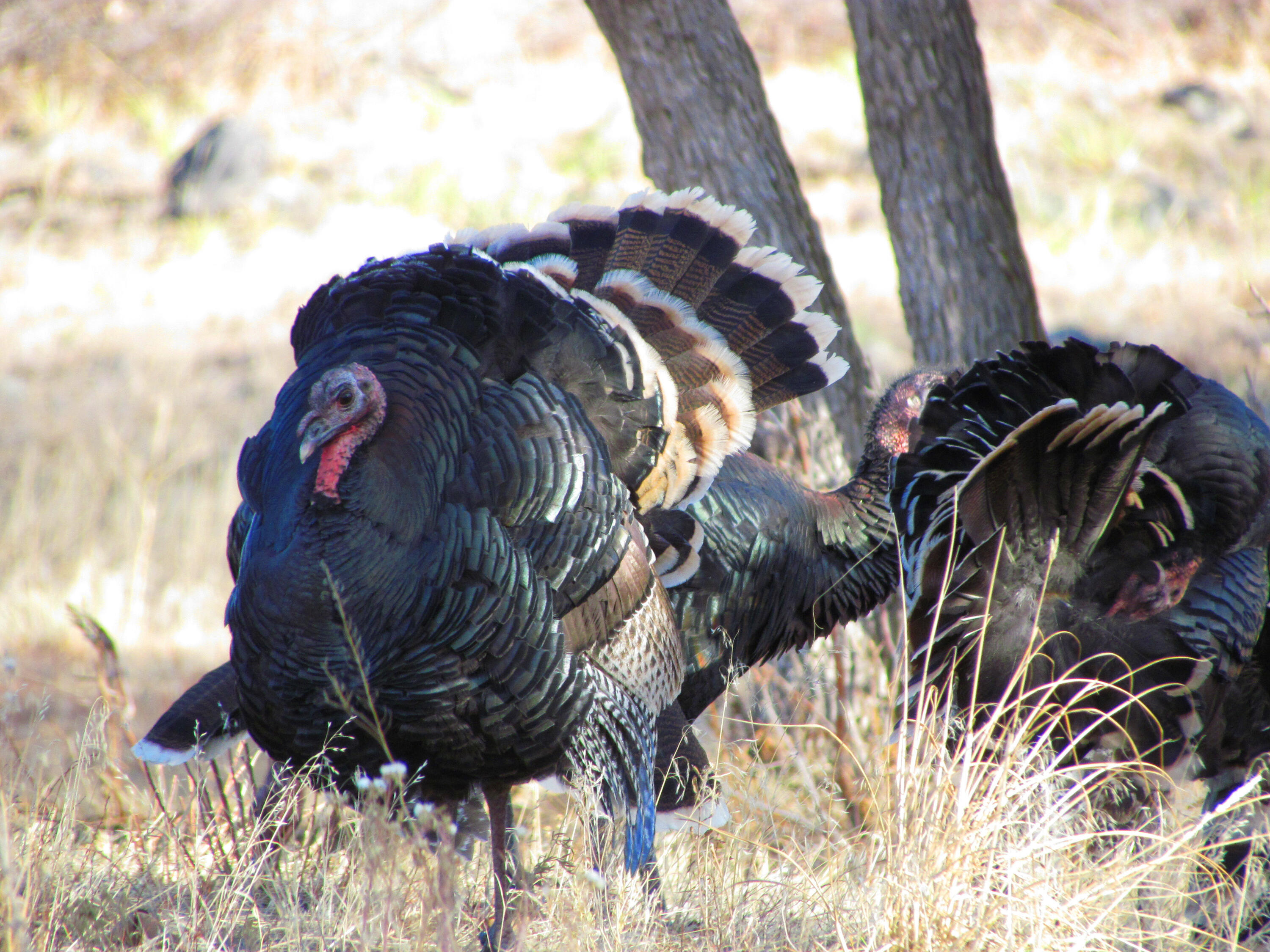 TBD County Road 23.3, CO
