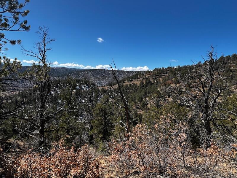 TBD County Road 23.3, CO