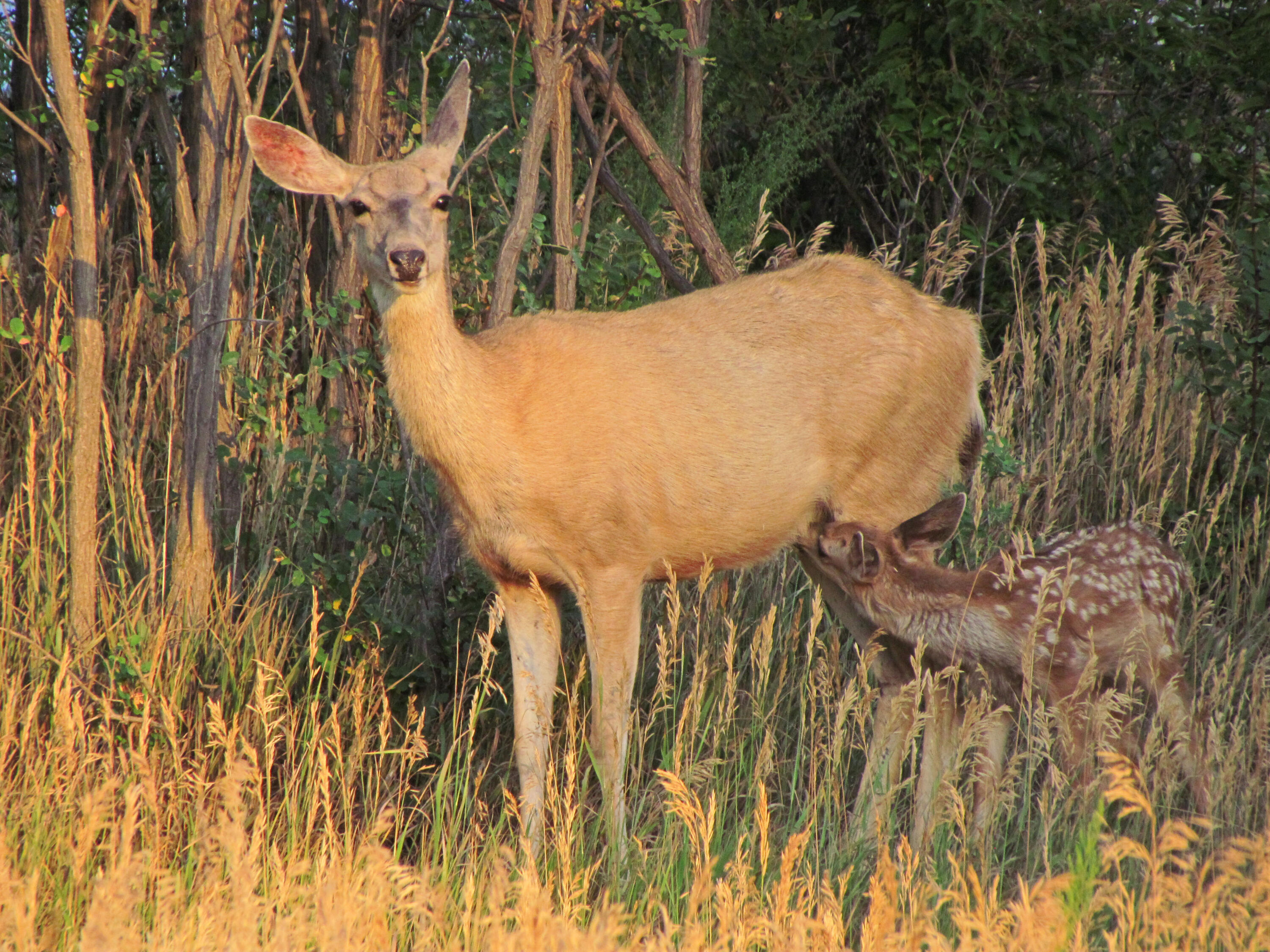 TBD County Road 23.3, CO
