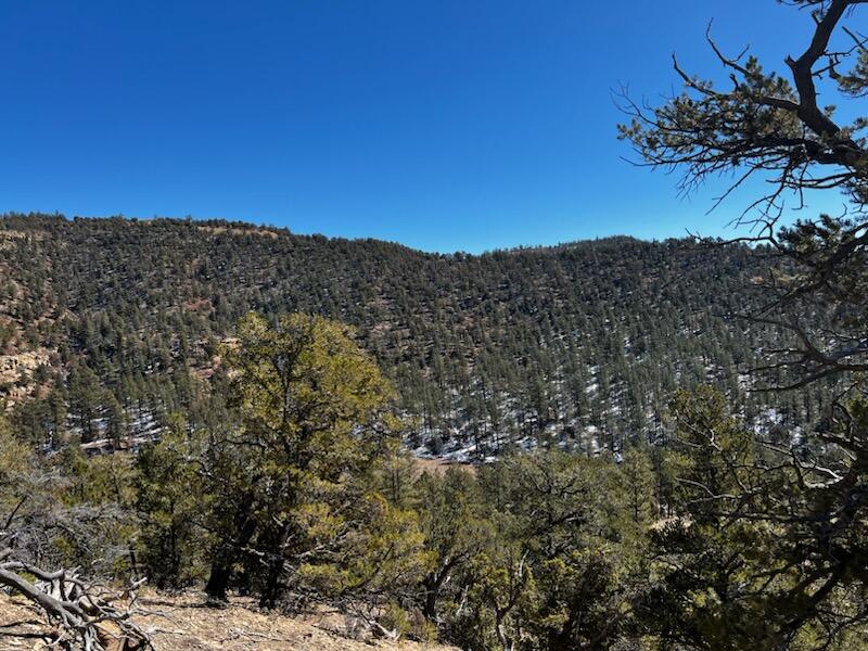 TBD County Road 23.3, CO