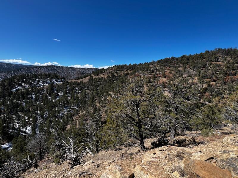 TBD County Road 23.3, CO