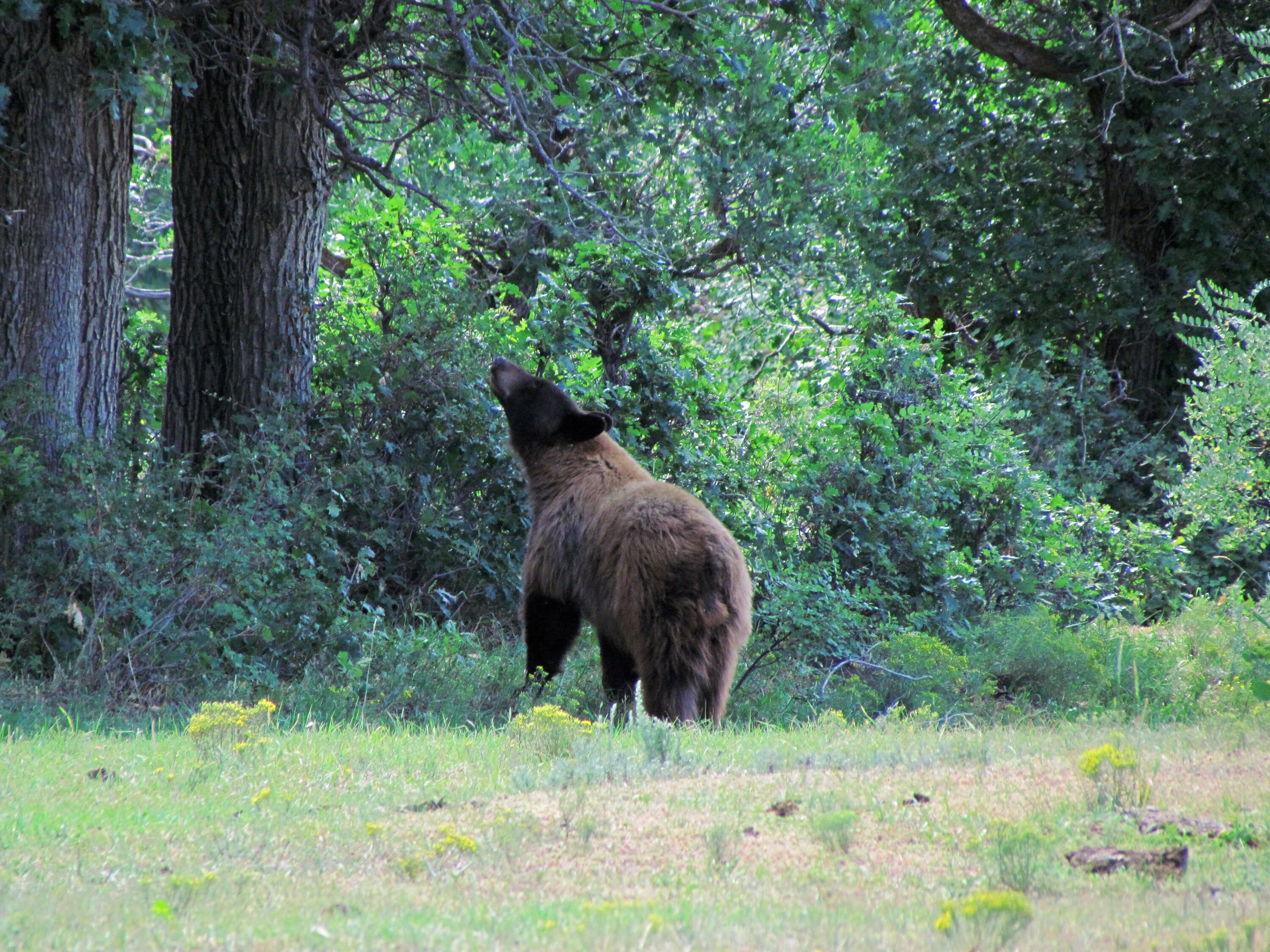 TBD County Road 23.3, CO
