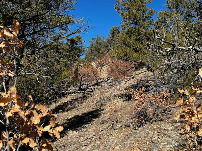 TBD County Road 23.3, CO