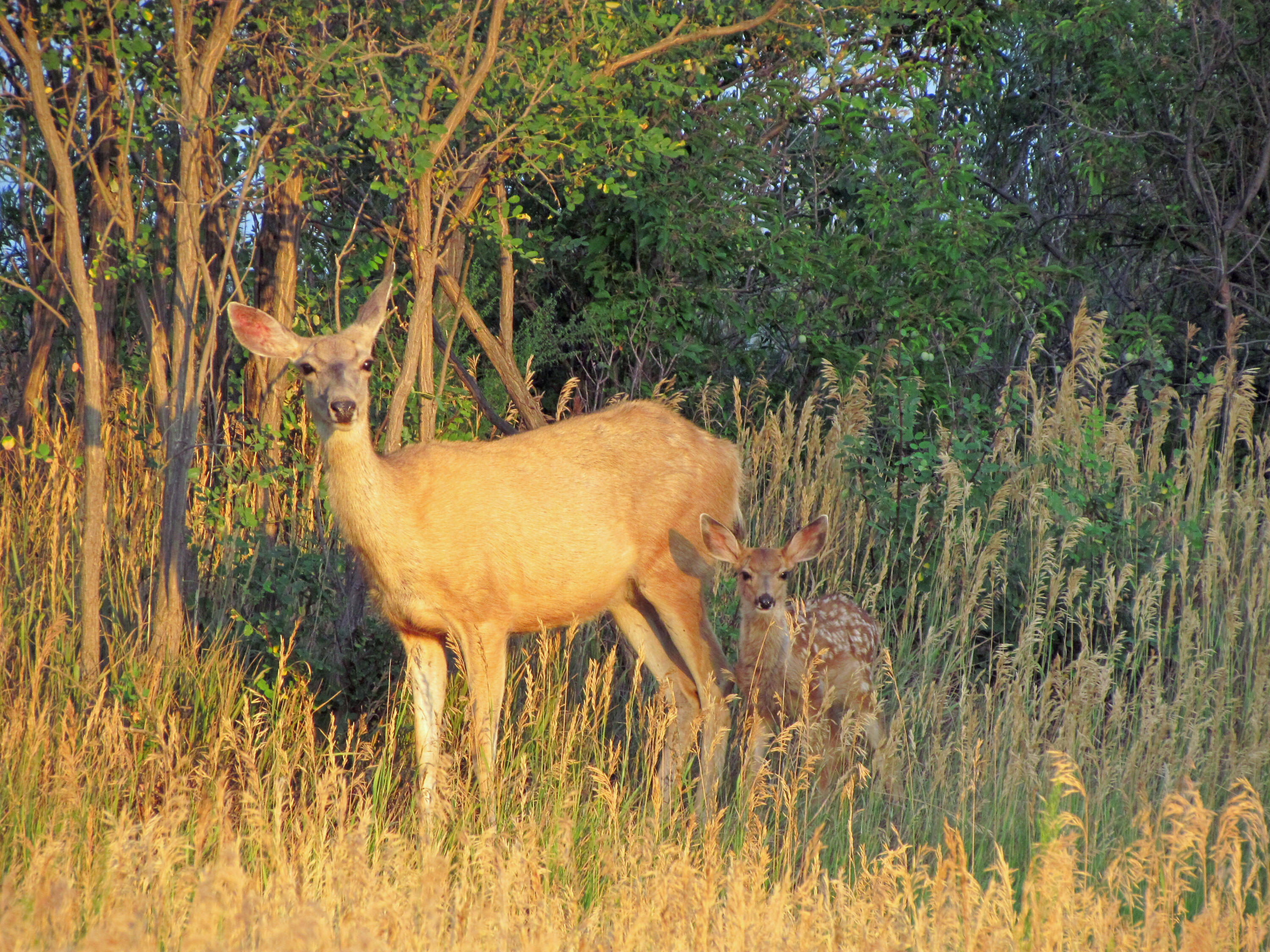 TBD County Road 23.3, CO