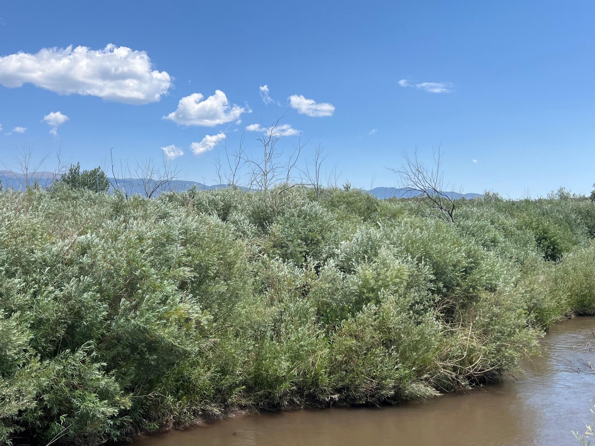 944434 County Rd 540, CO