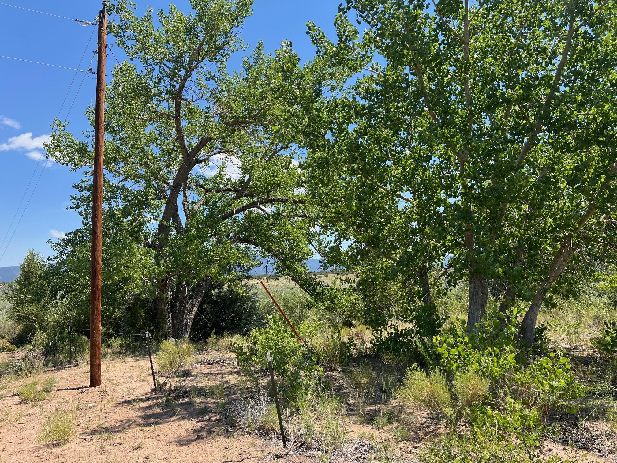 944434 County Rd 540, CO