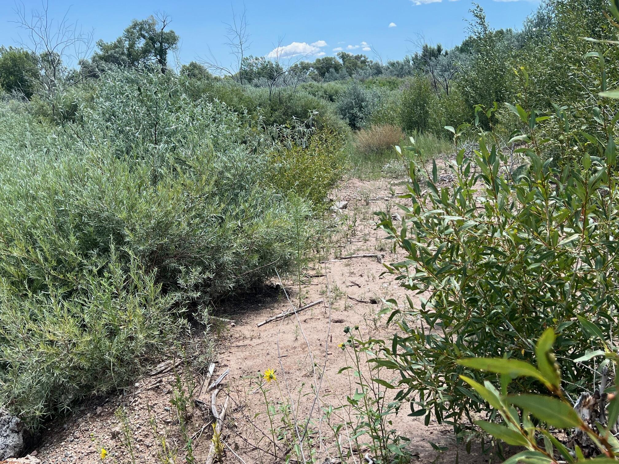 944434 County Rd 540, CO
