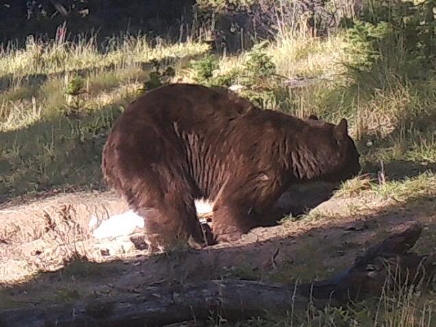 3140 Schierl Rd, Ft. Garland, CO