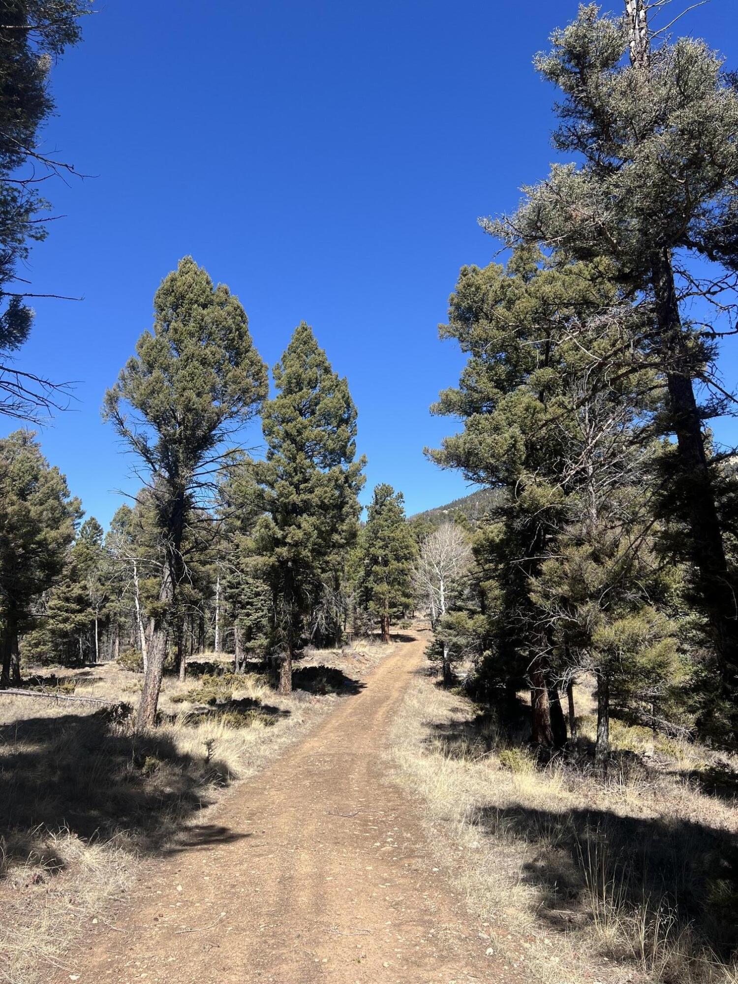 3140 Schierl Rd, Ft. Garland, CO