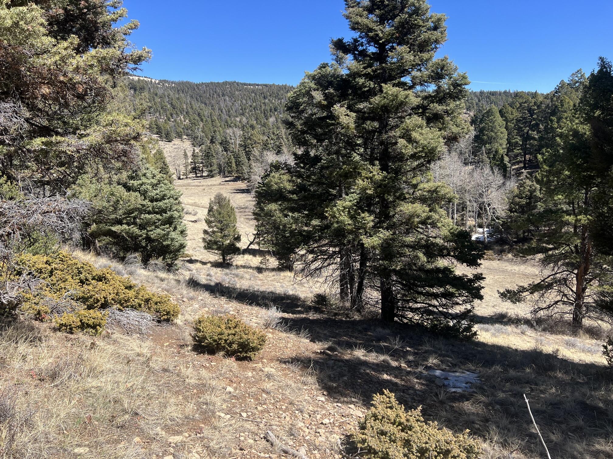 3140 Schierl Rd, Ft. Garland, CO