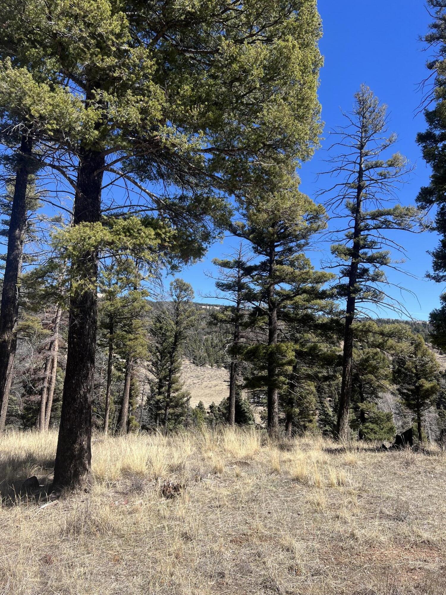 3140 Schierl Rd, Ft. Garland, CO