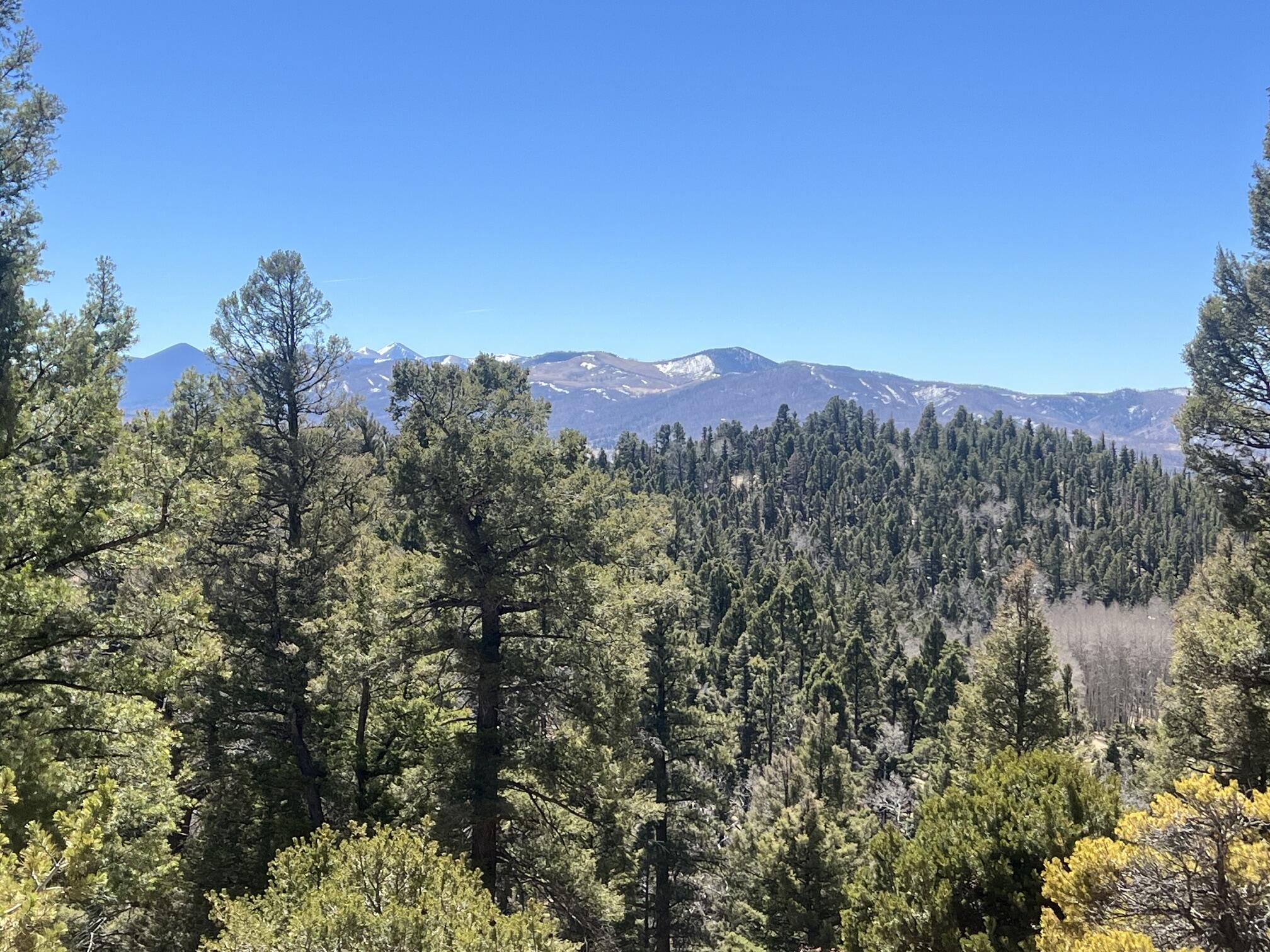 3140 Schierl Rd, Ft. Garland, CO