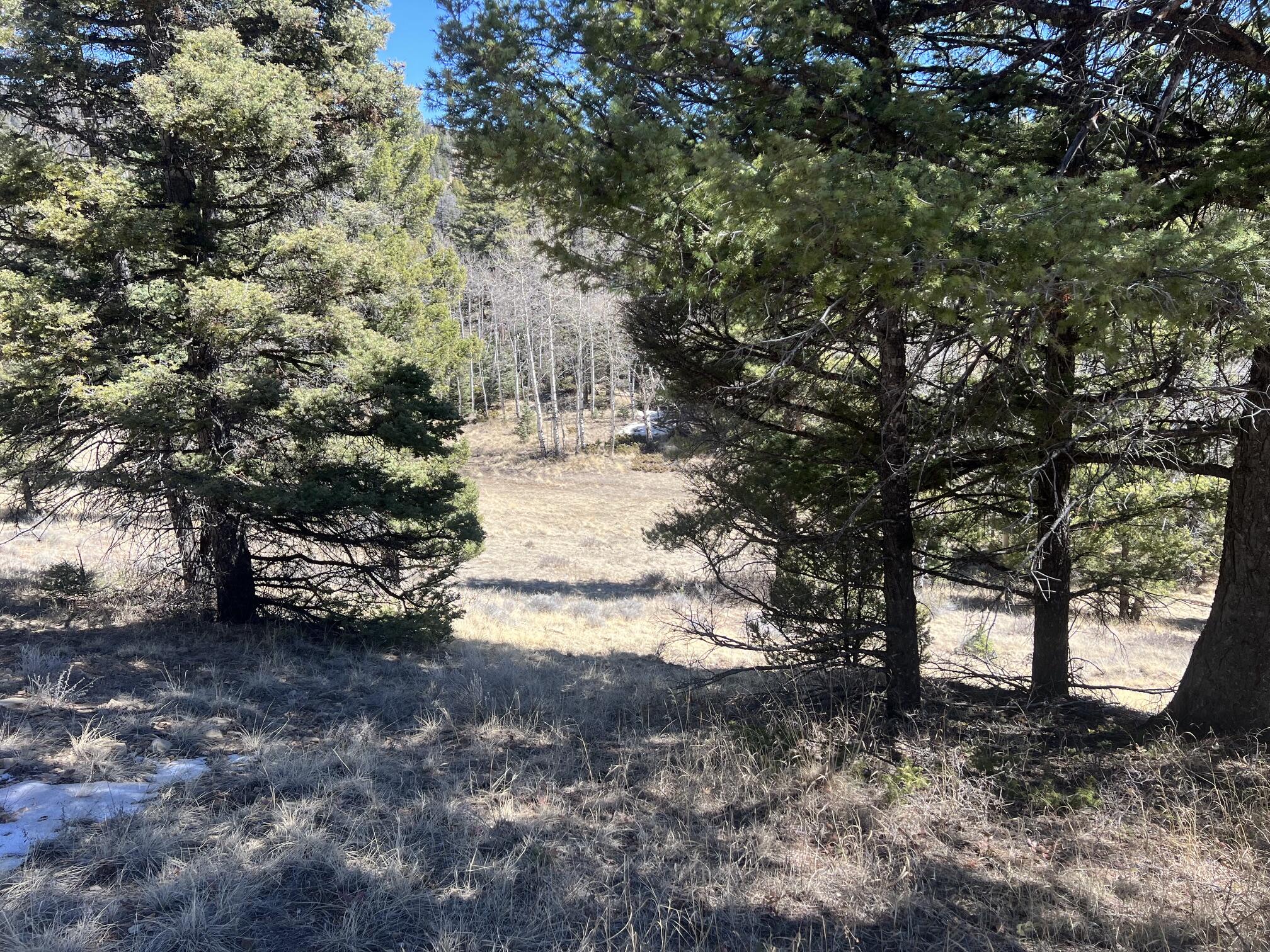 3140 Schierl Rd, Ft. Garland, CO