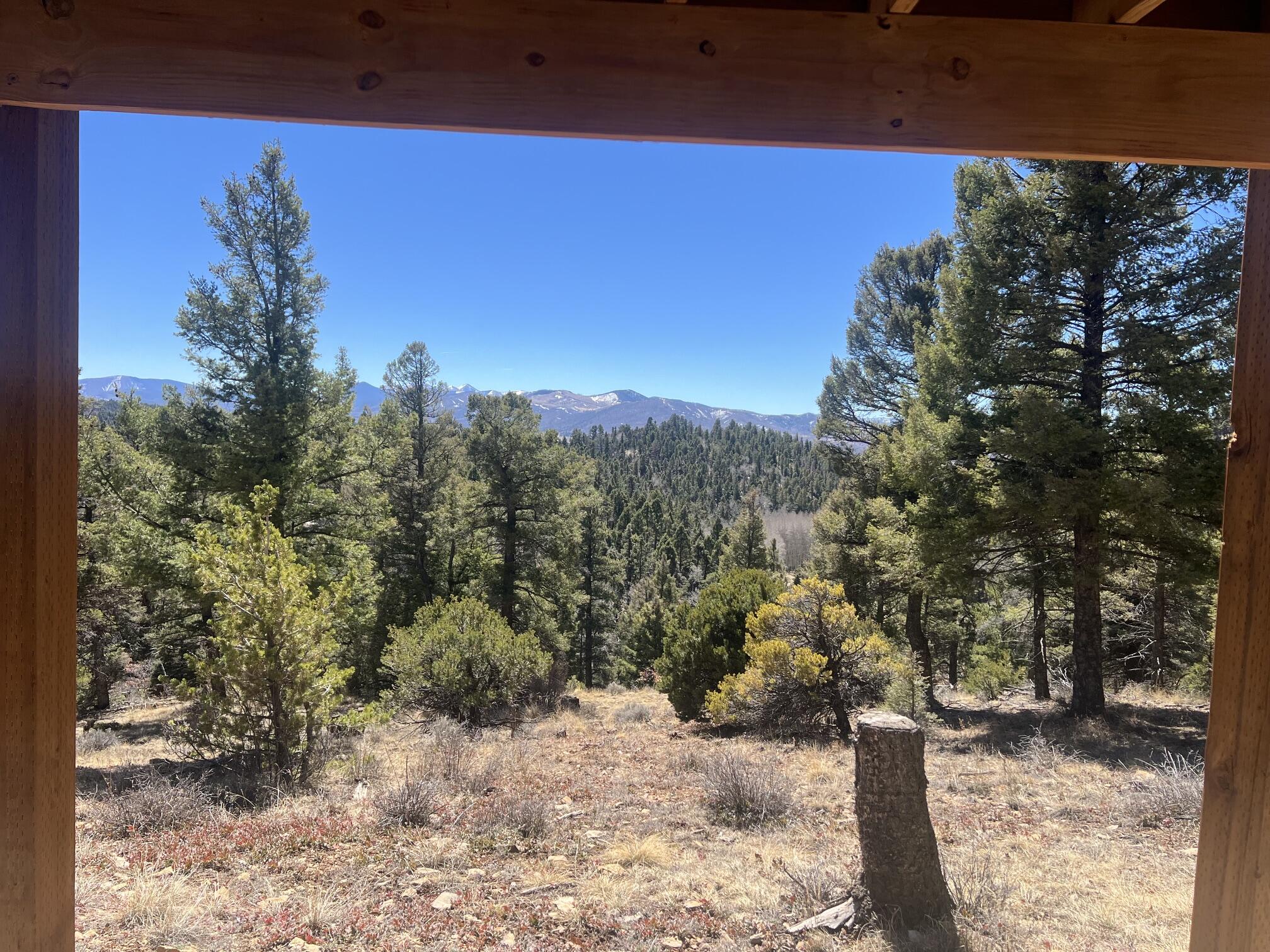 3140 Schierl Rd, Ft. Garland, CO