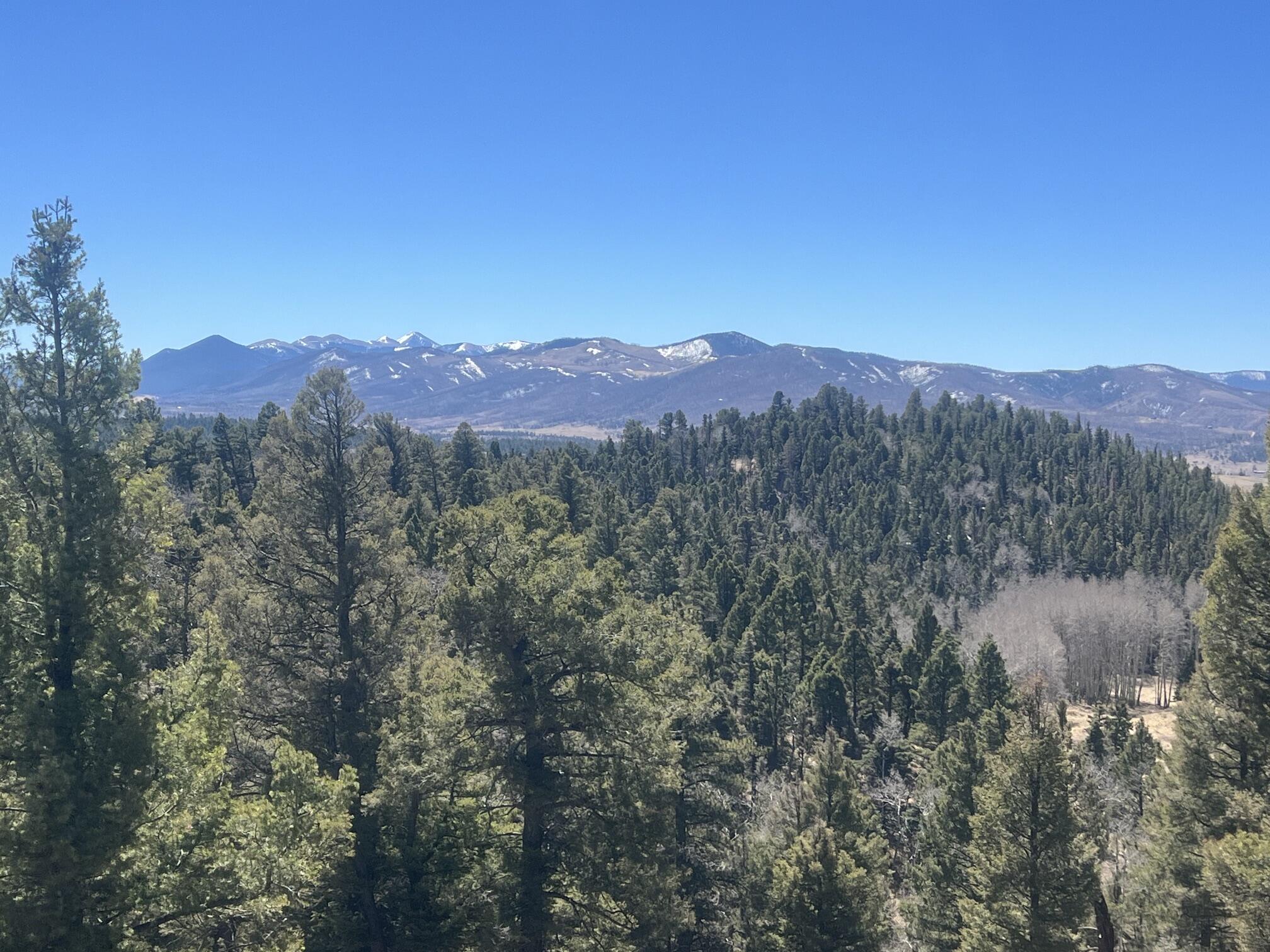 3140 Schierl Rd, Ft. Garland, CO