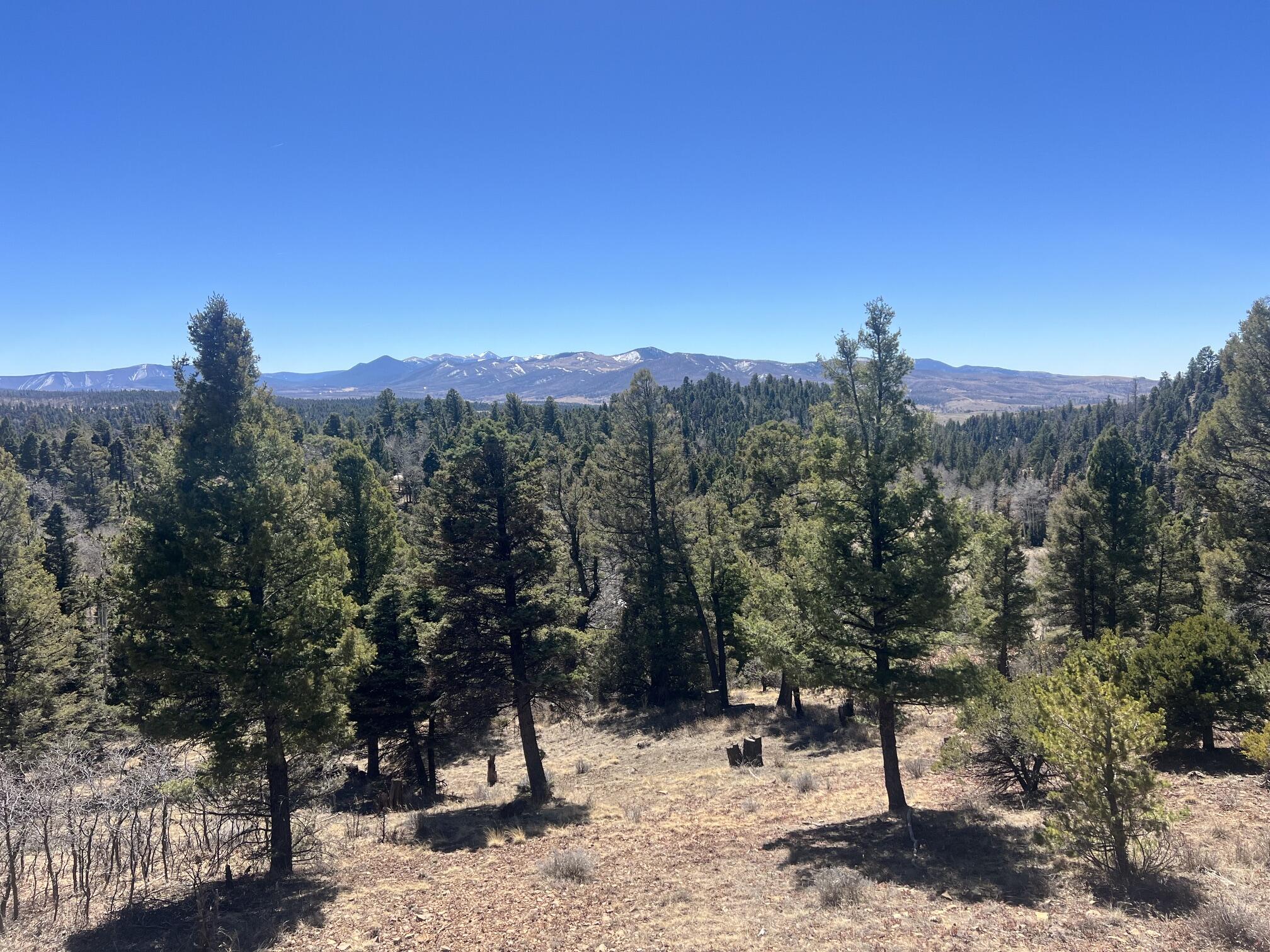 3140 Schierl Rd, Ft. Garland, CO