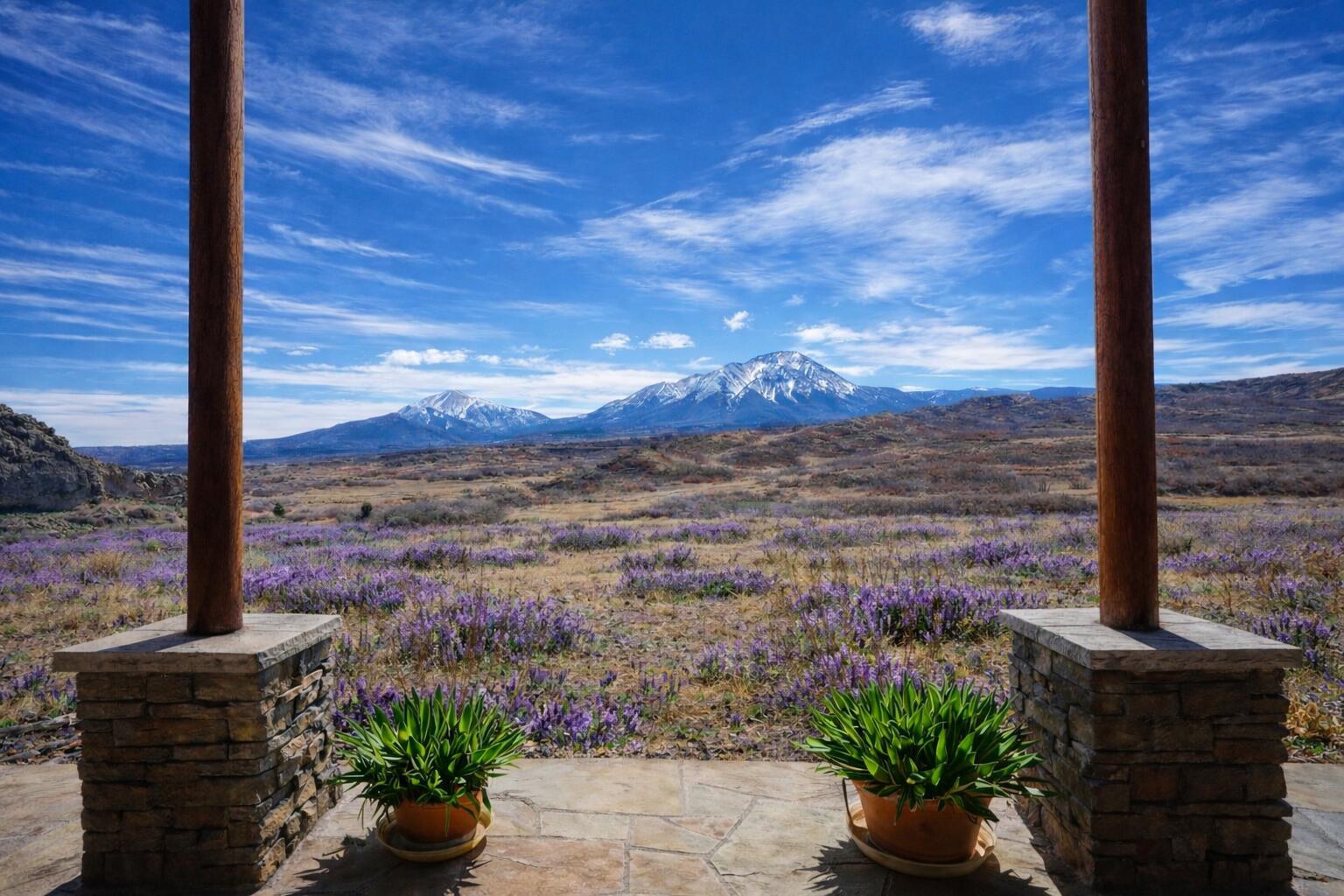 1325 Primavera Pl, CO