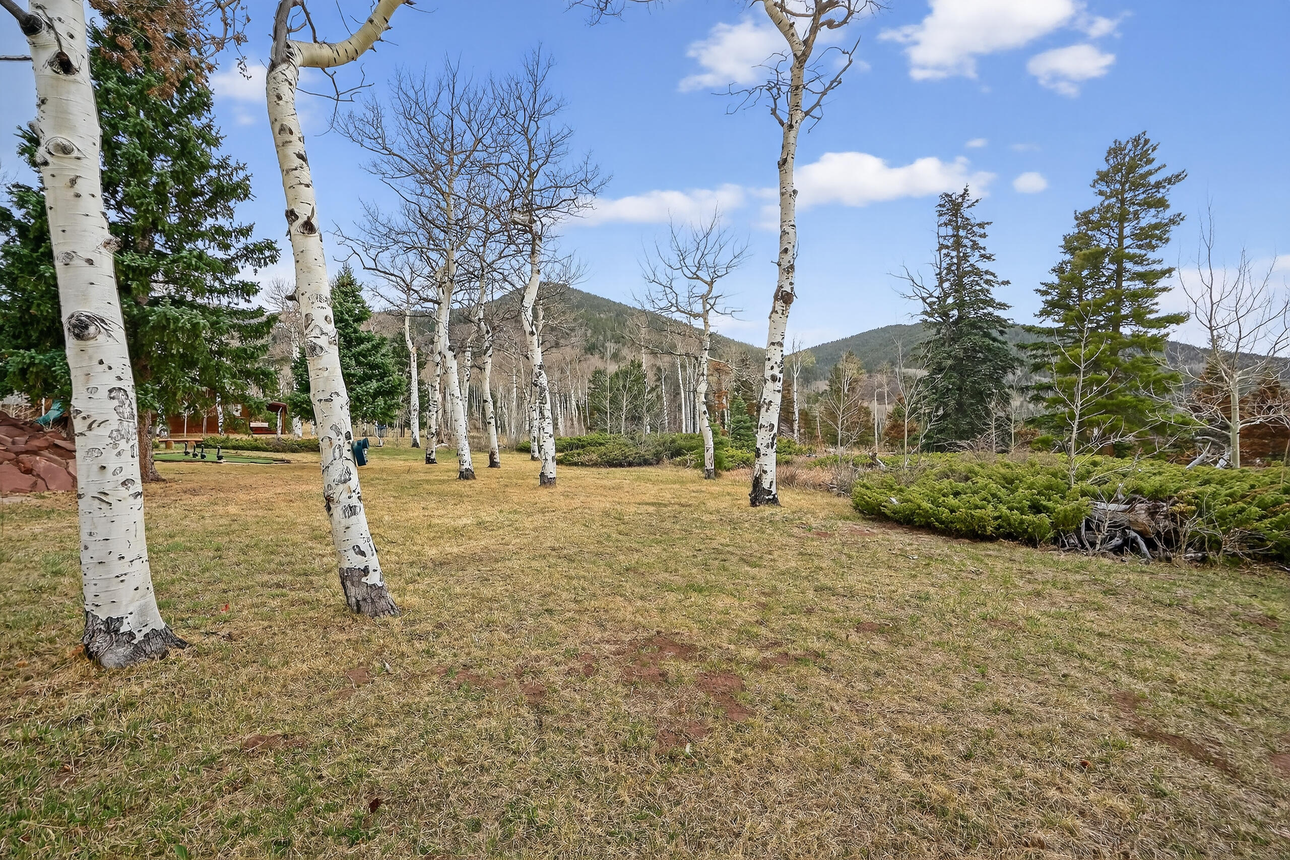 730 Panadero Loop, CO