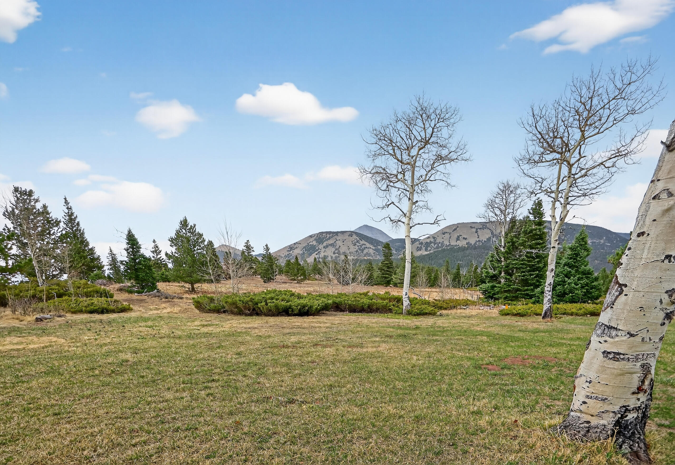 730 Panadero Loop, CO