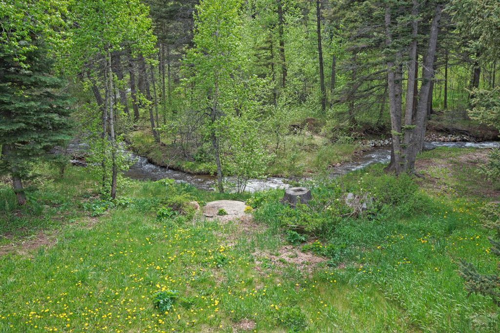 25 Cottonwood Trail, CO