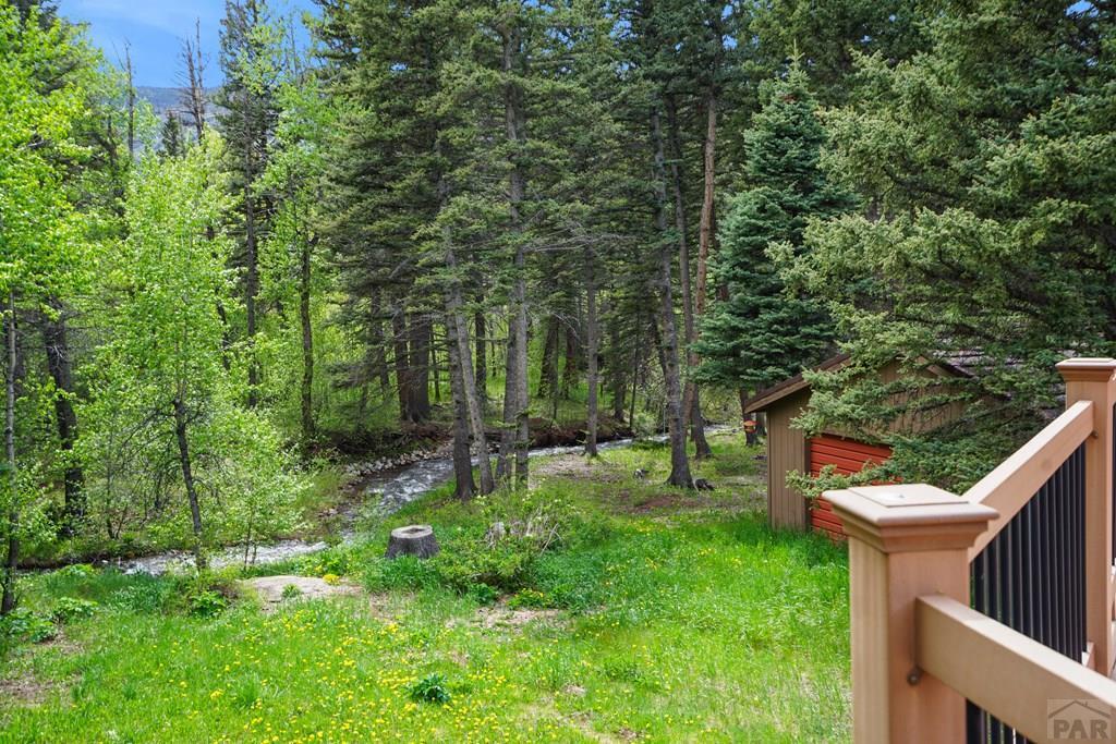 25 Cottonwood Trail, CO