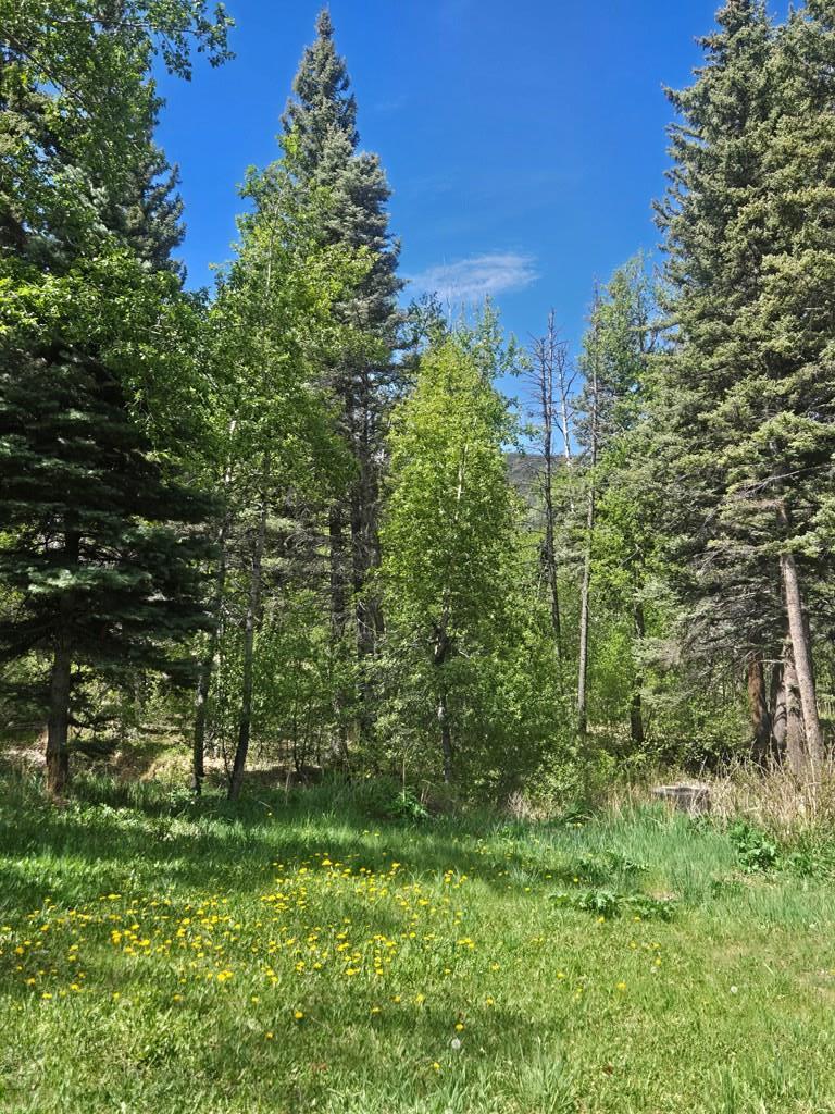 25 Cottonwood Trail, CO
