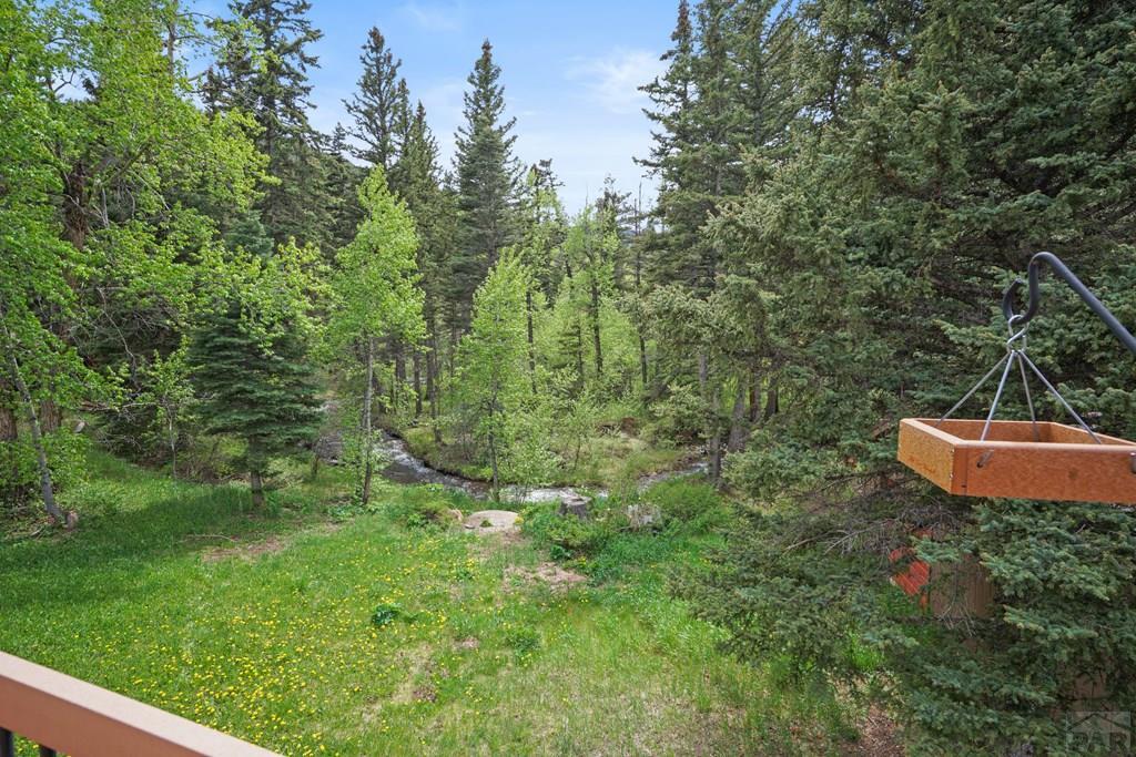 25 Cottonwood Trail, CO