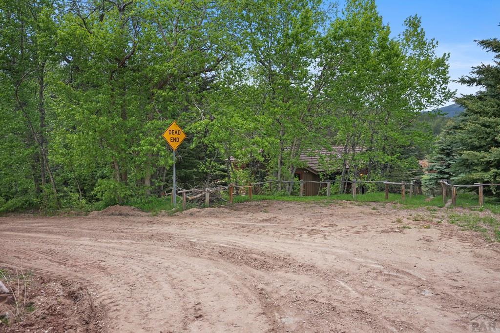 25 Cottonwood Trail, CO