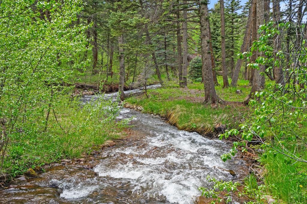 25 Cottonwood Trail, CO