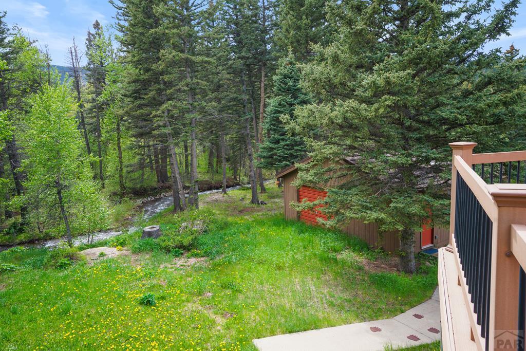 25 Cottonwood Trail, CO