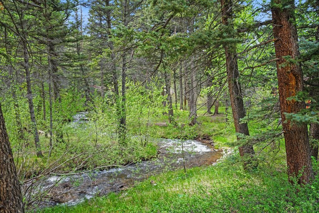 25 Cottonwood Trail, CO