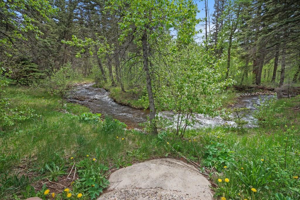 25 Cottonwood Trail, CO