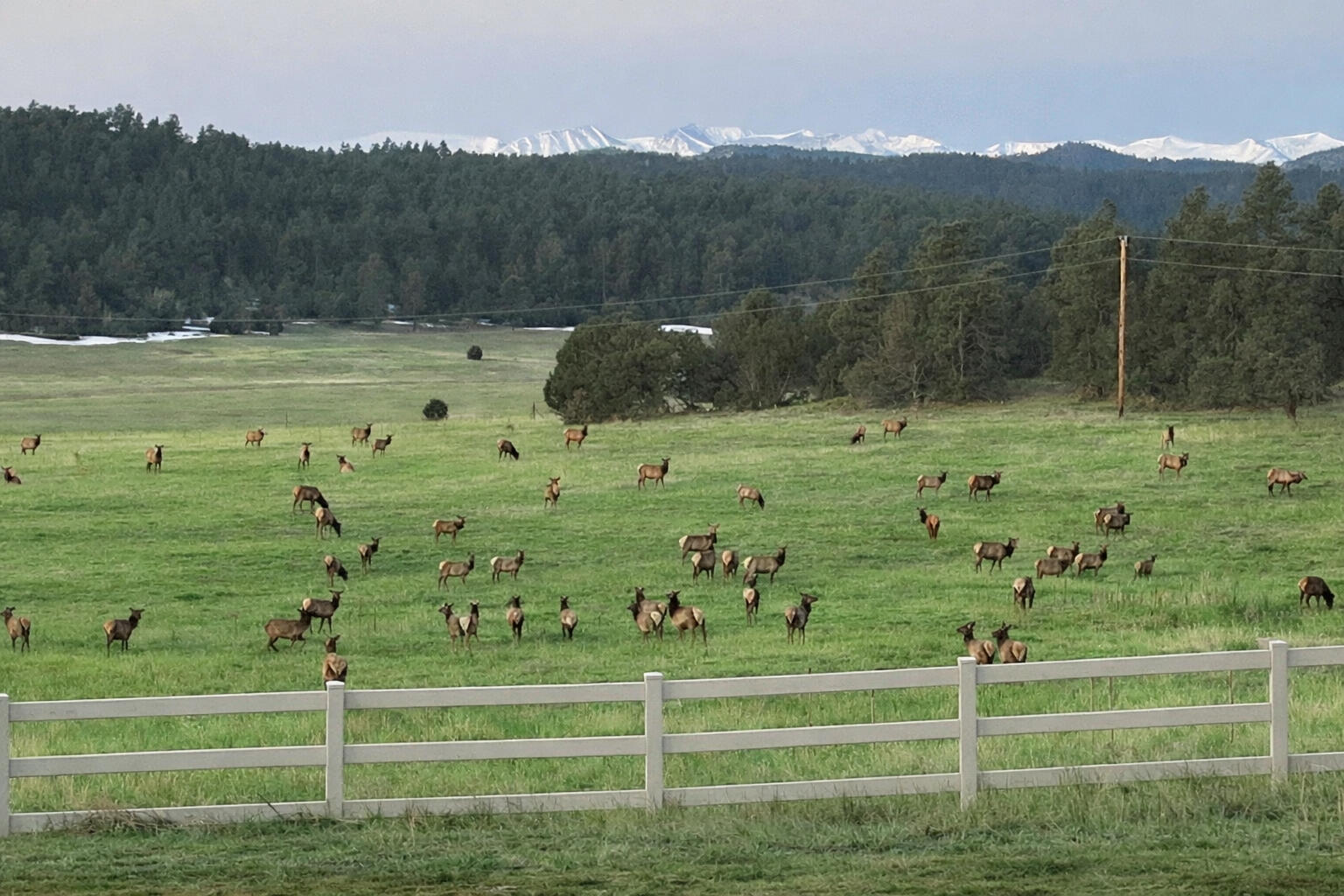 24030 County Road 43.6, CO