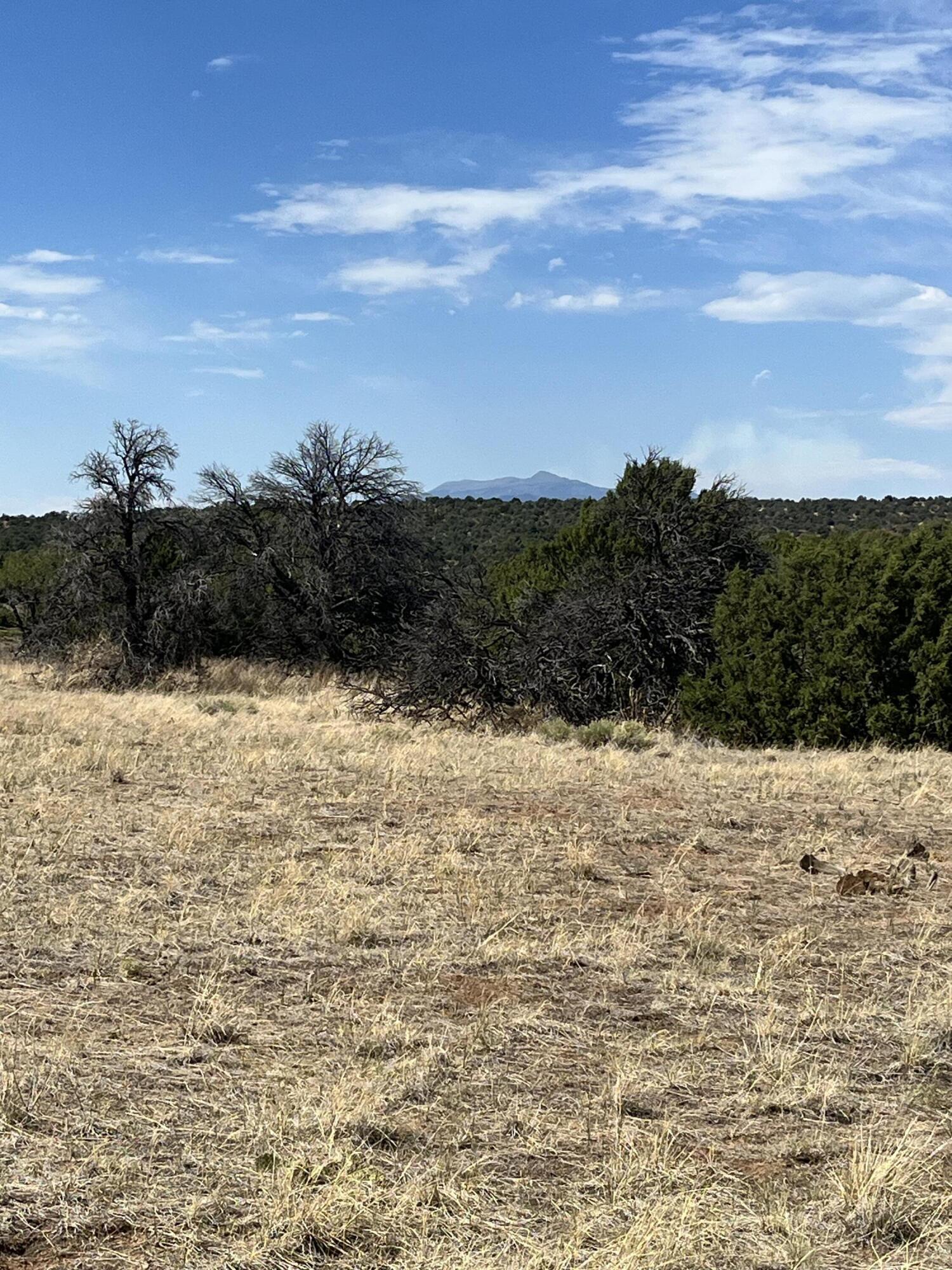 TBD Buffalo 95, CO Unit: 95