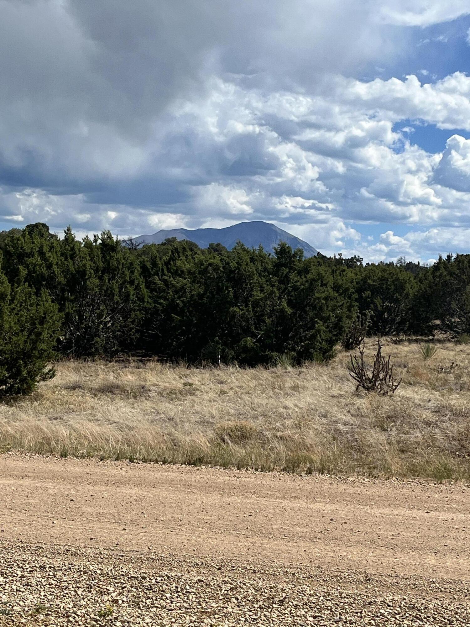 TBD Buffalo 95, CO Unit: 95