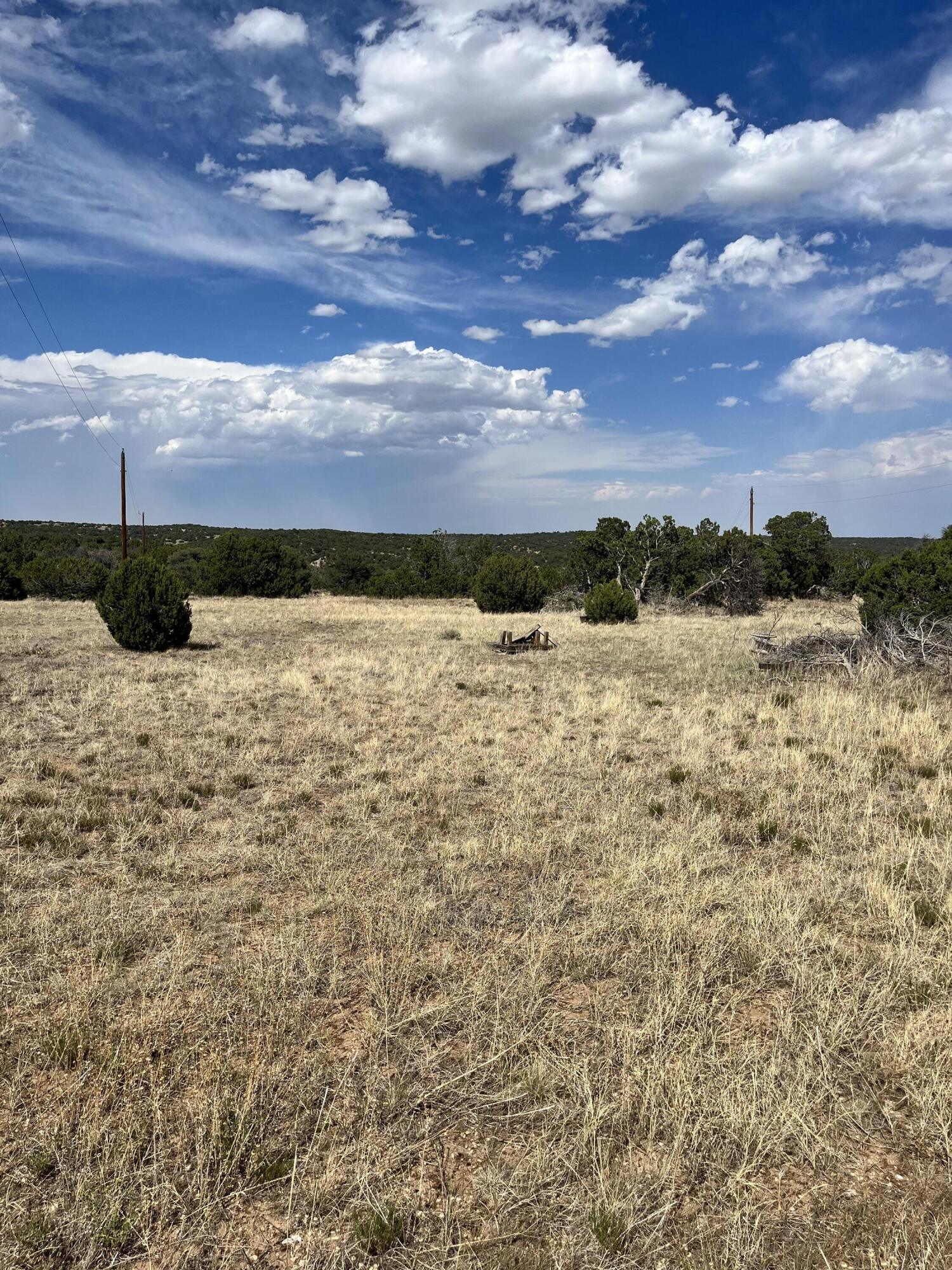 TBD Buffalo 96, CO Unit: 96