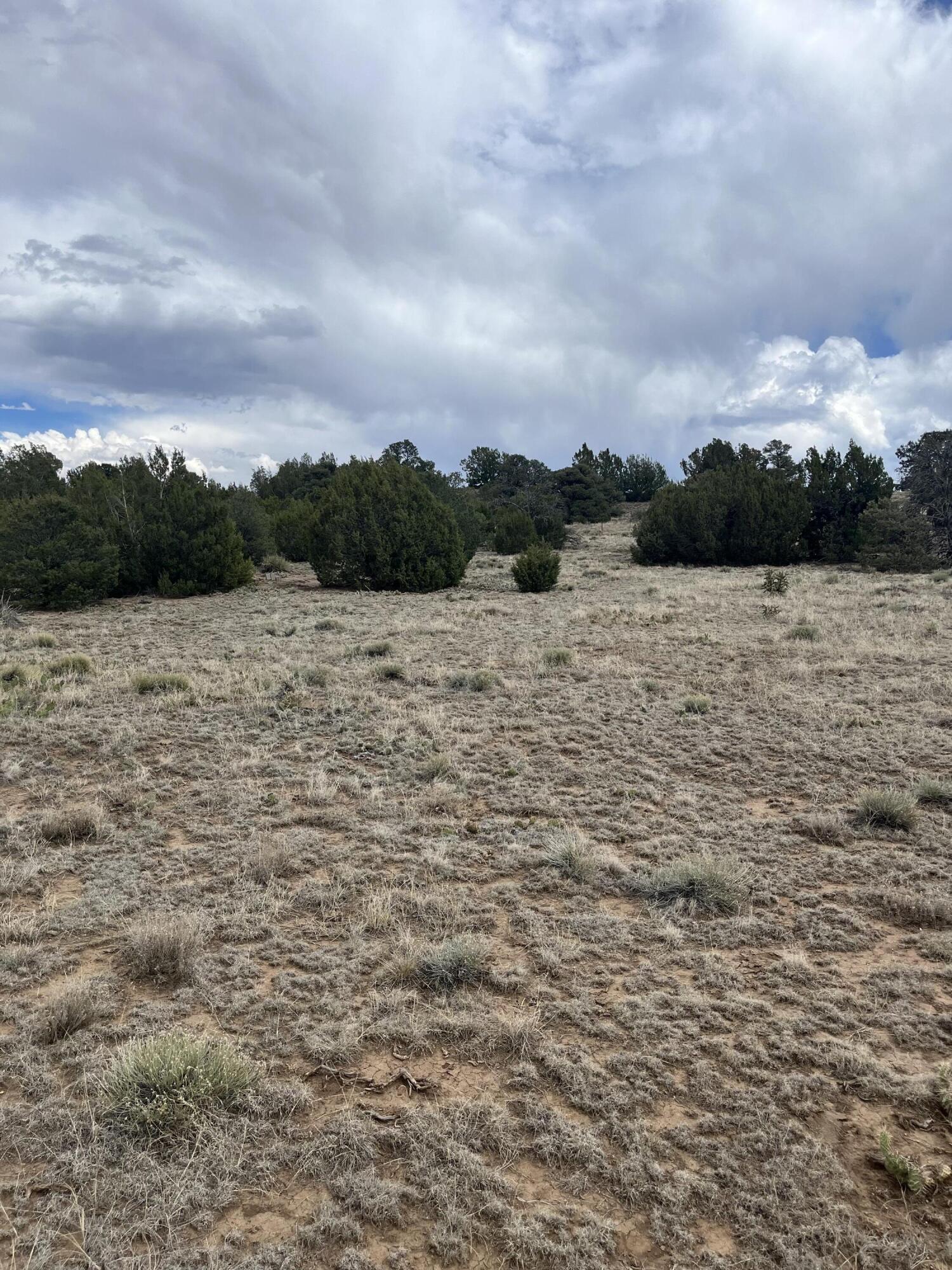 TBD Faris, CO