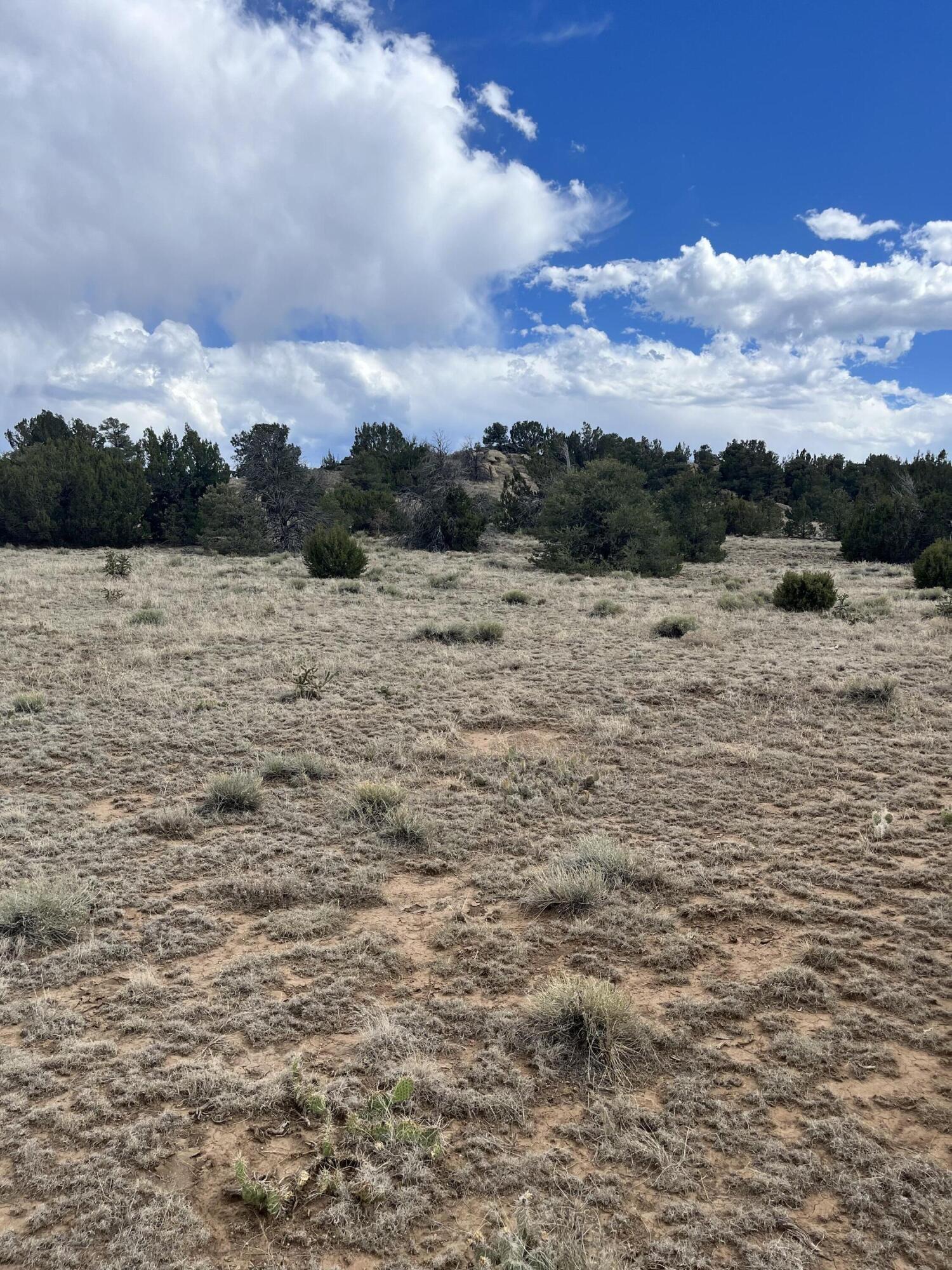 TBD Faris, CO
