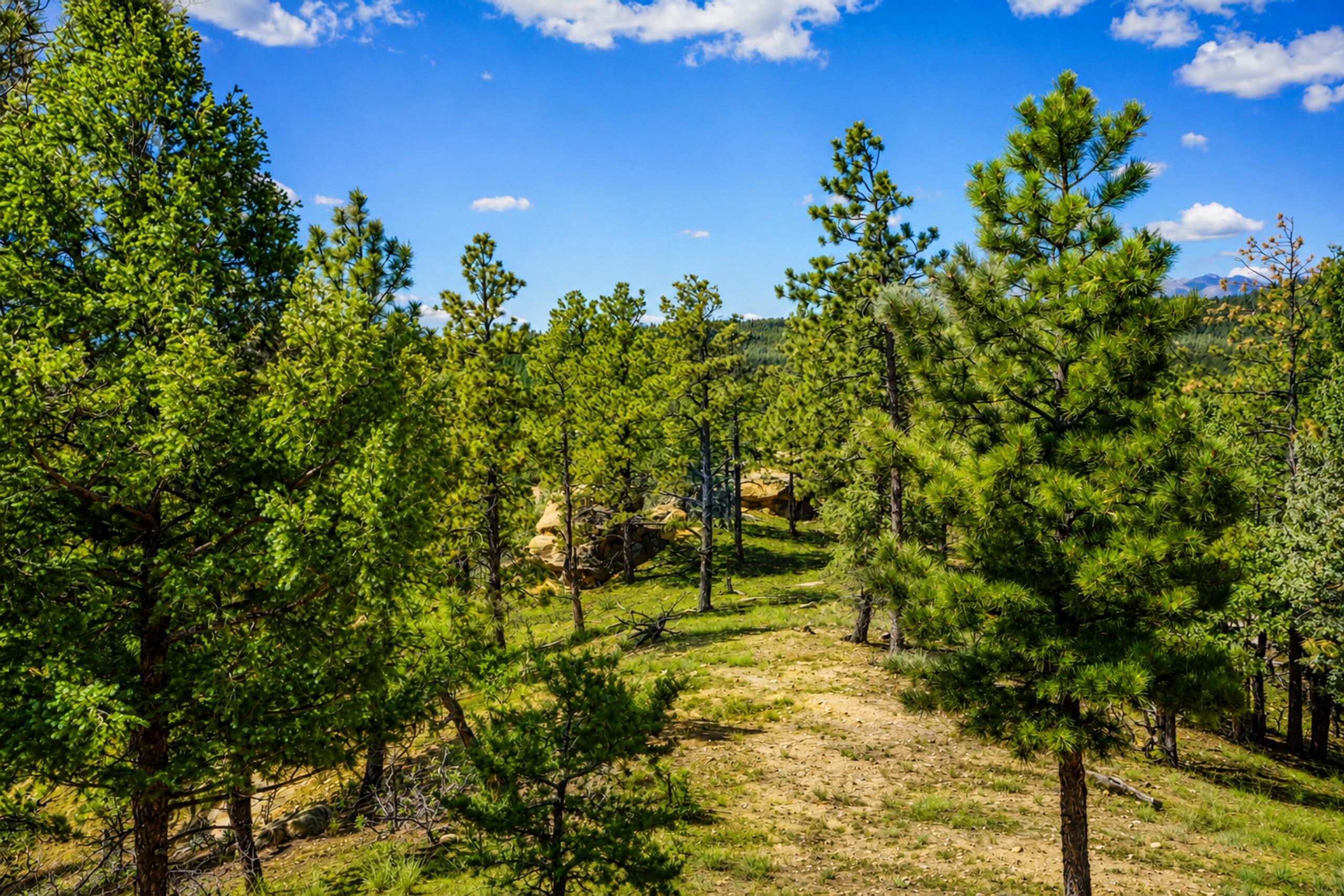 19084 County Road 31.9, CO