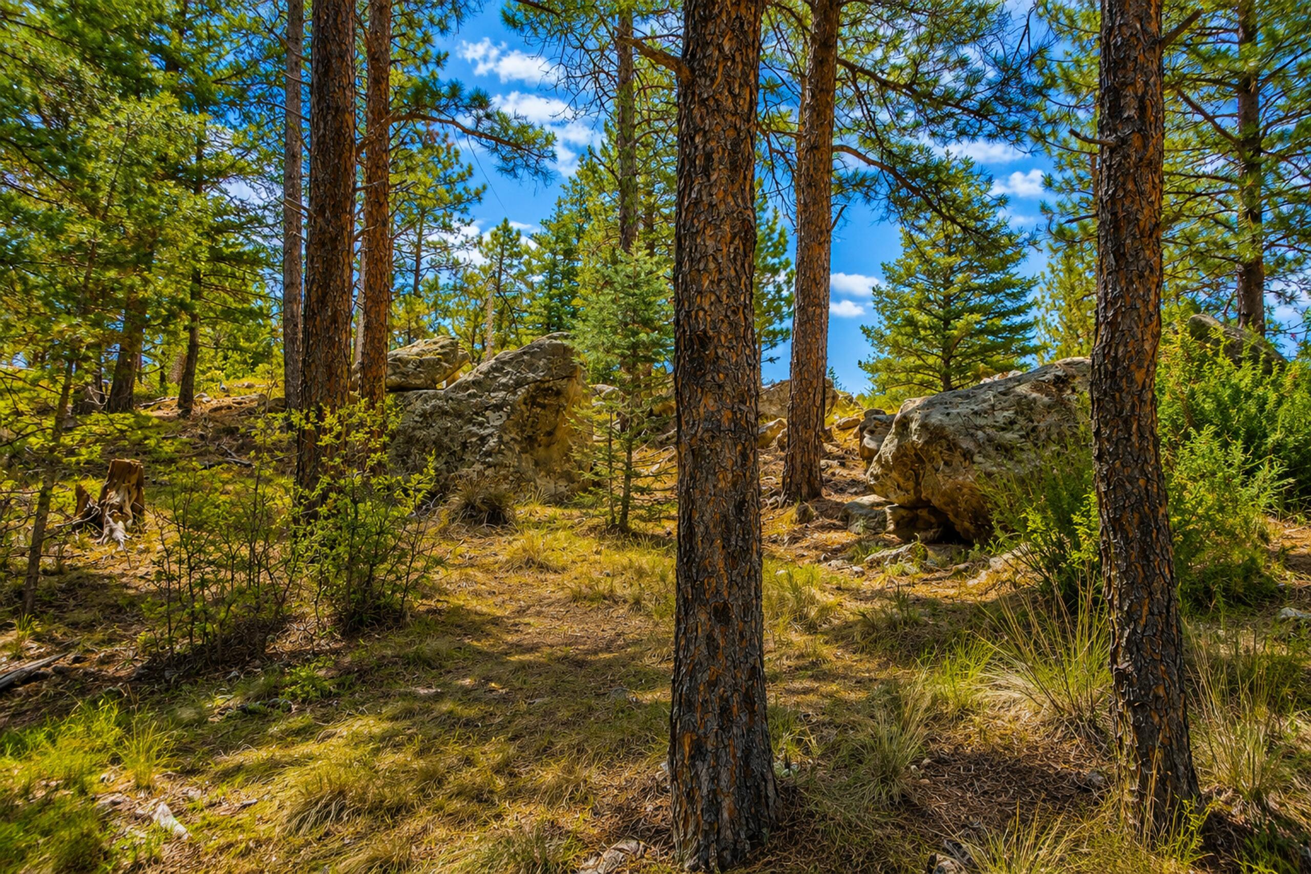 19084 County Road 31.9, CO