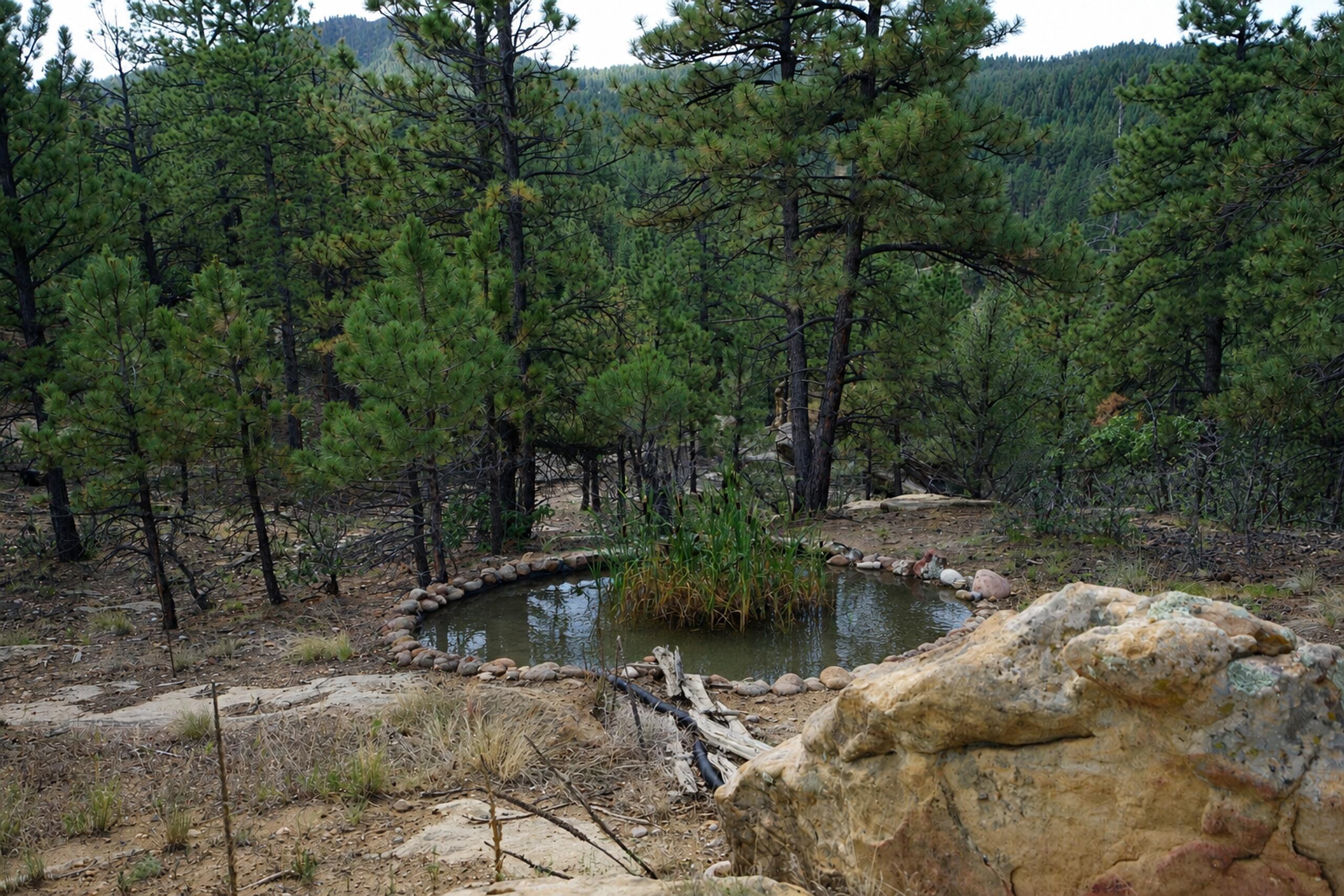 19084 County Road 31.9, CO