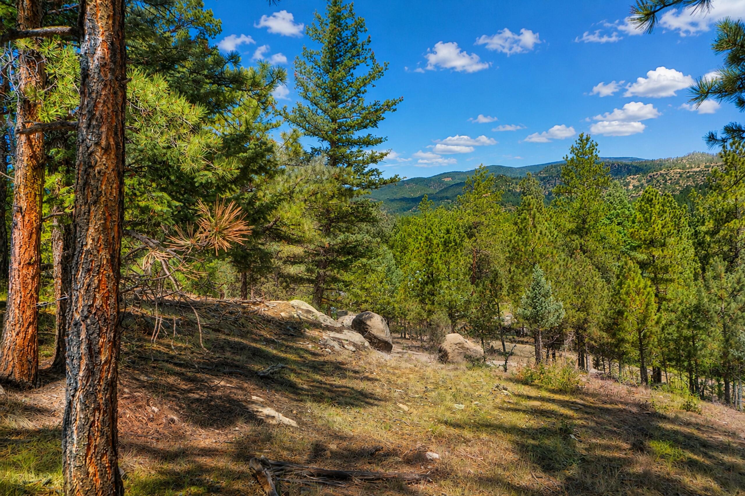 19084 County Road 31.9, CO