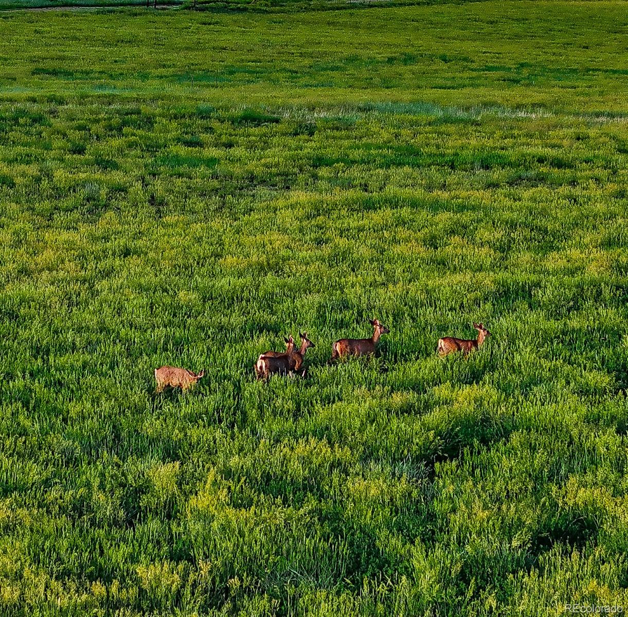 24030 County Road 43.6