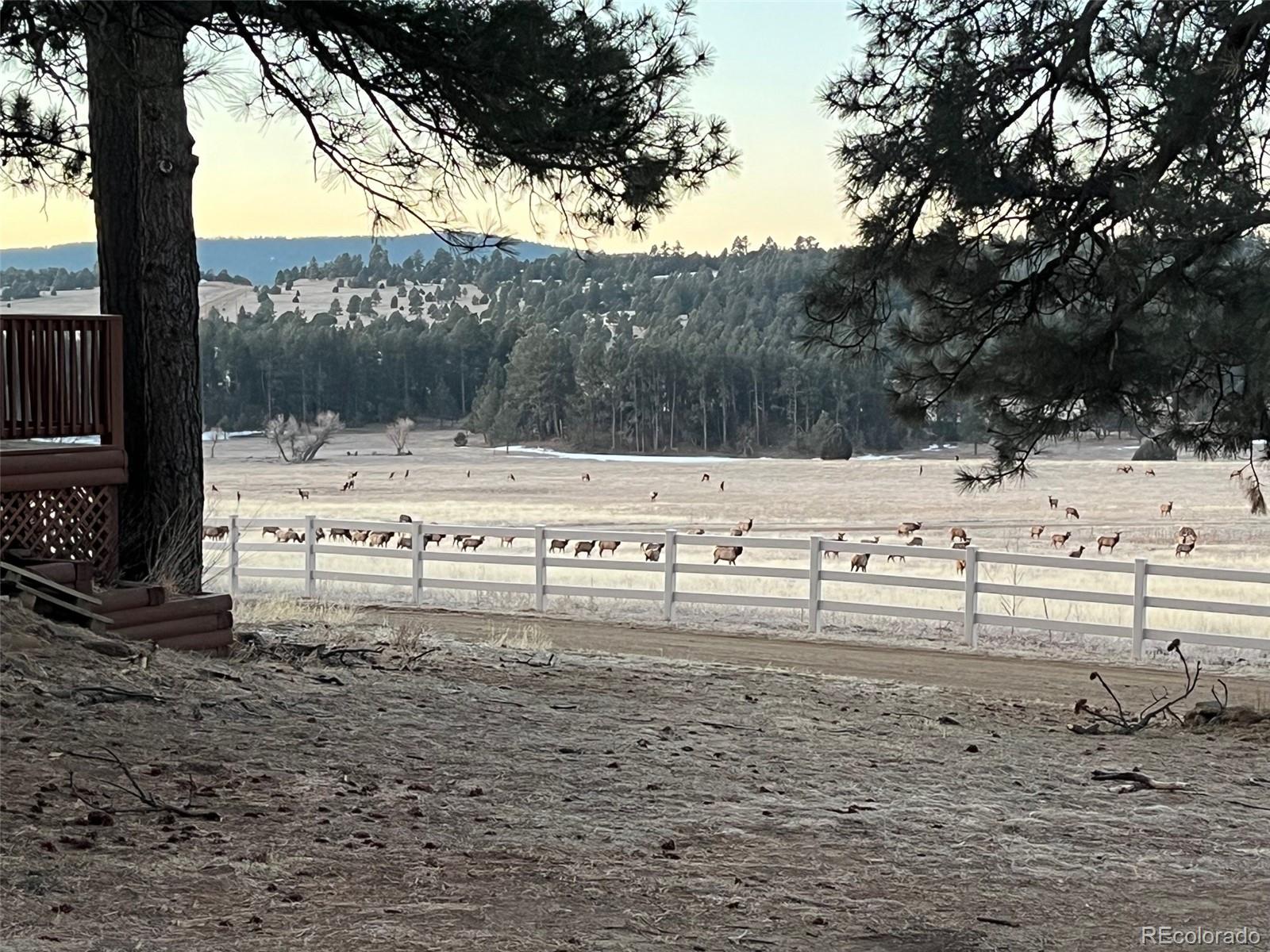 24030 County Road 43.6