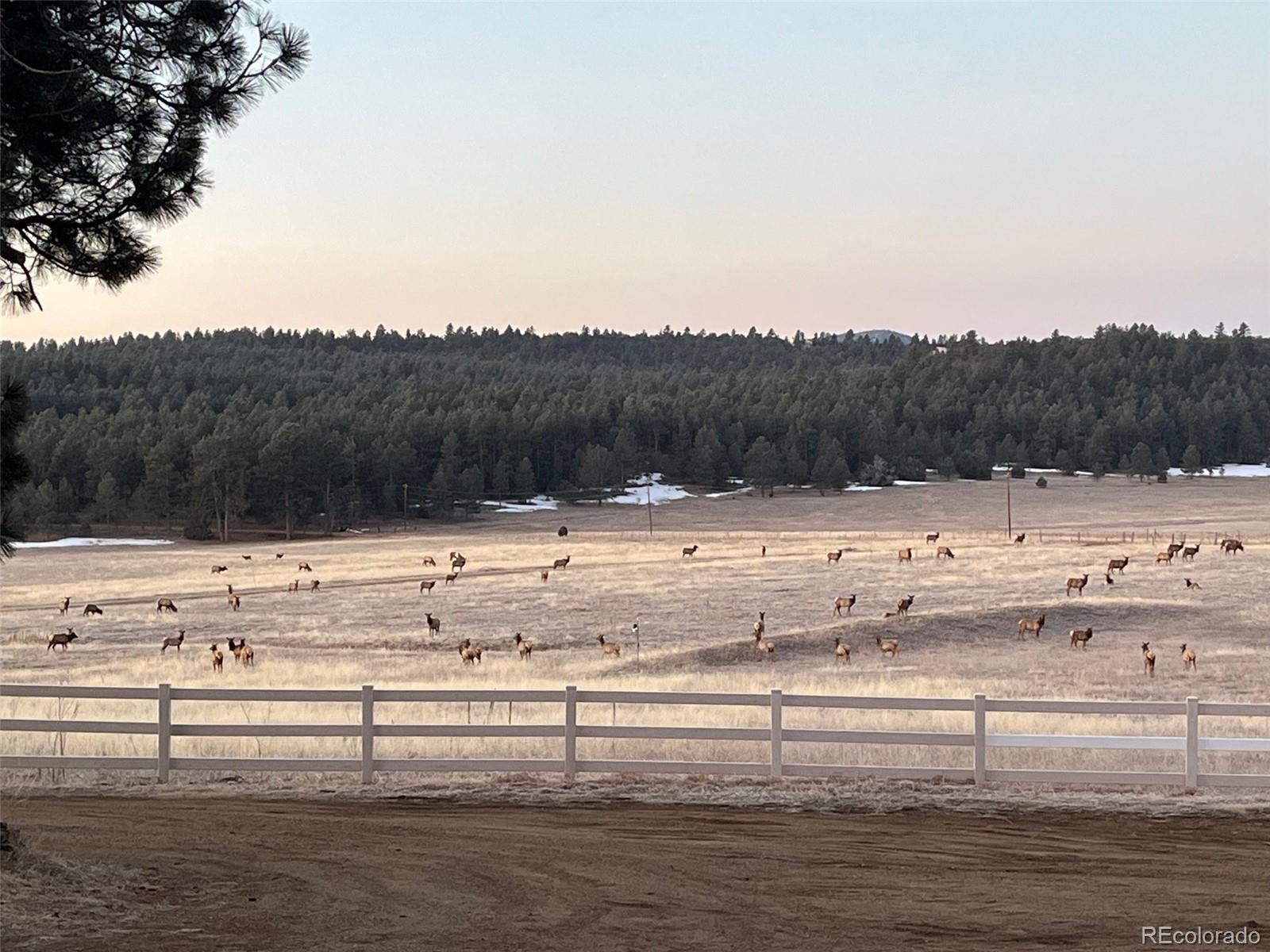 24030 County Road 43.6