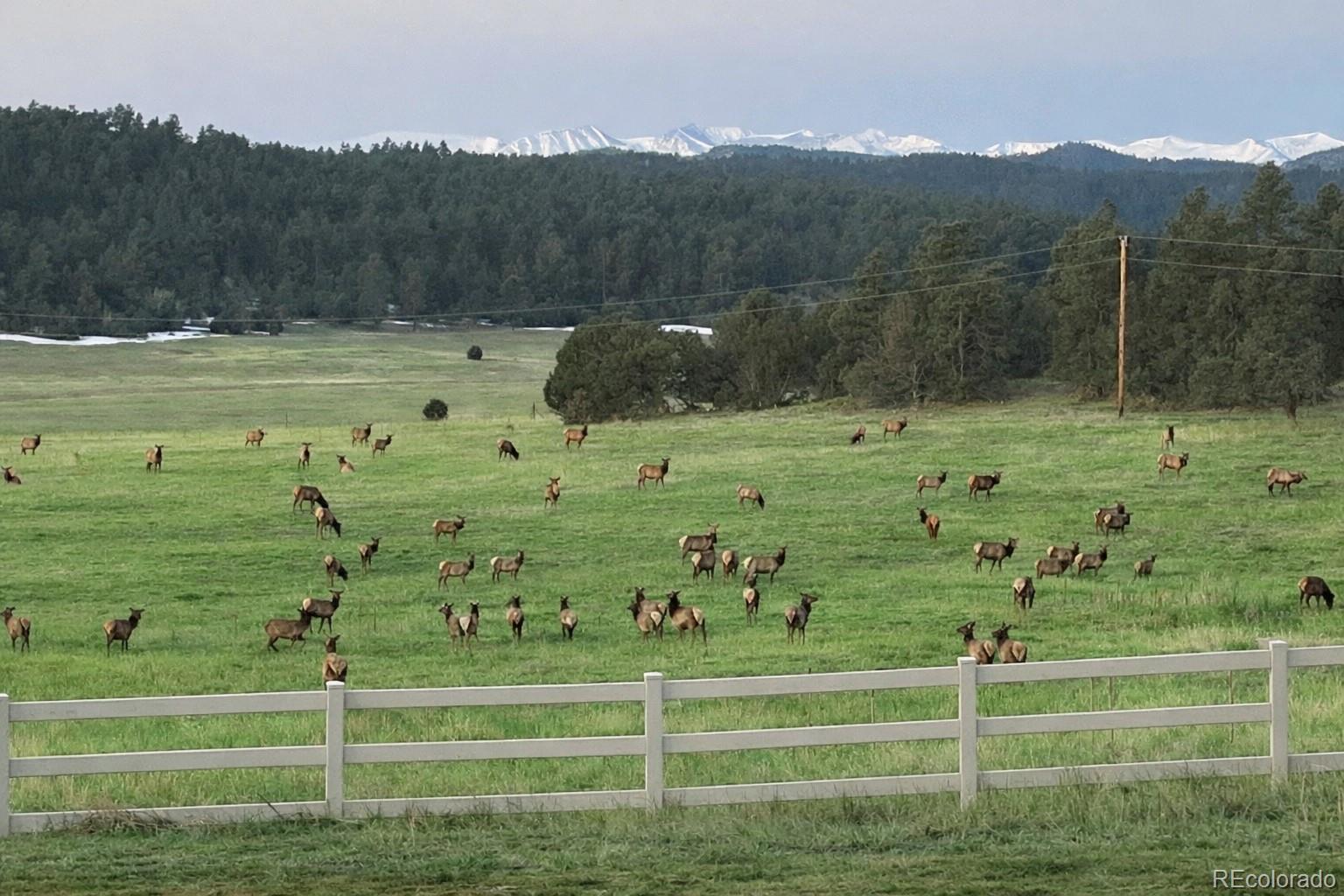 24030 County Road 43.6