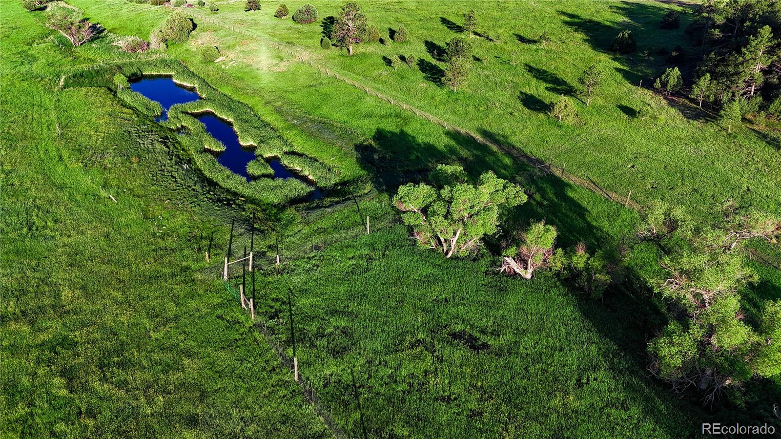 24030 County Road 43.6