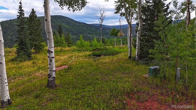 Baker Creek Court